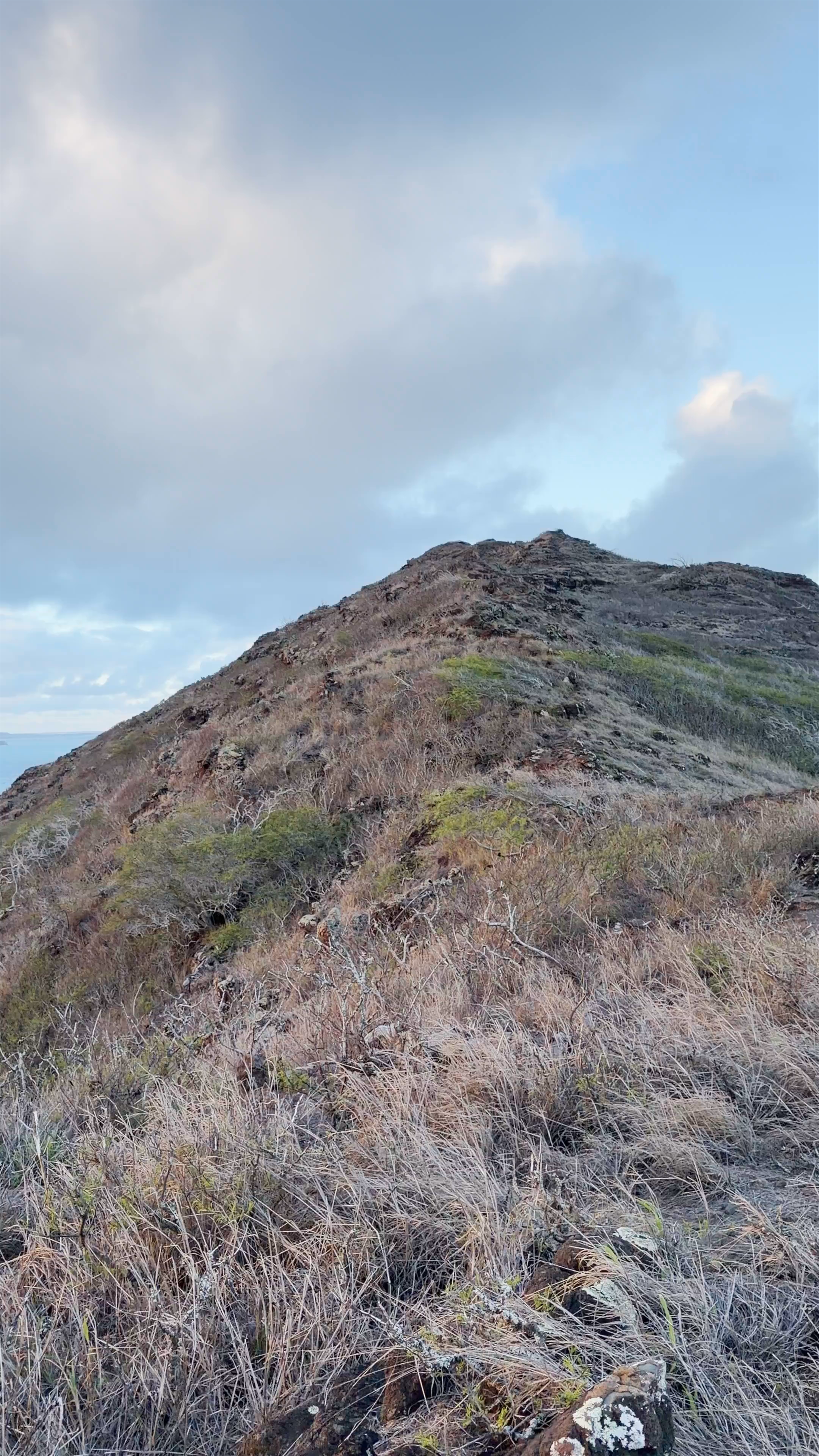 Kaiwi State Scenic Shoreline