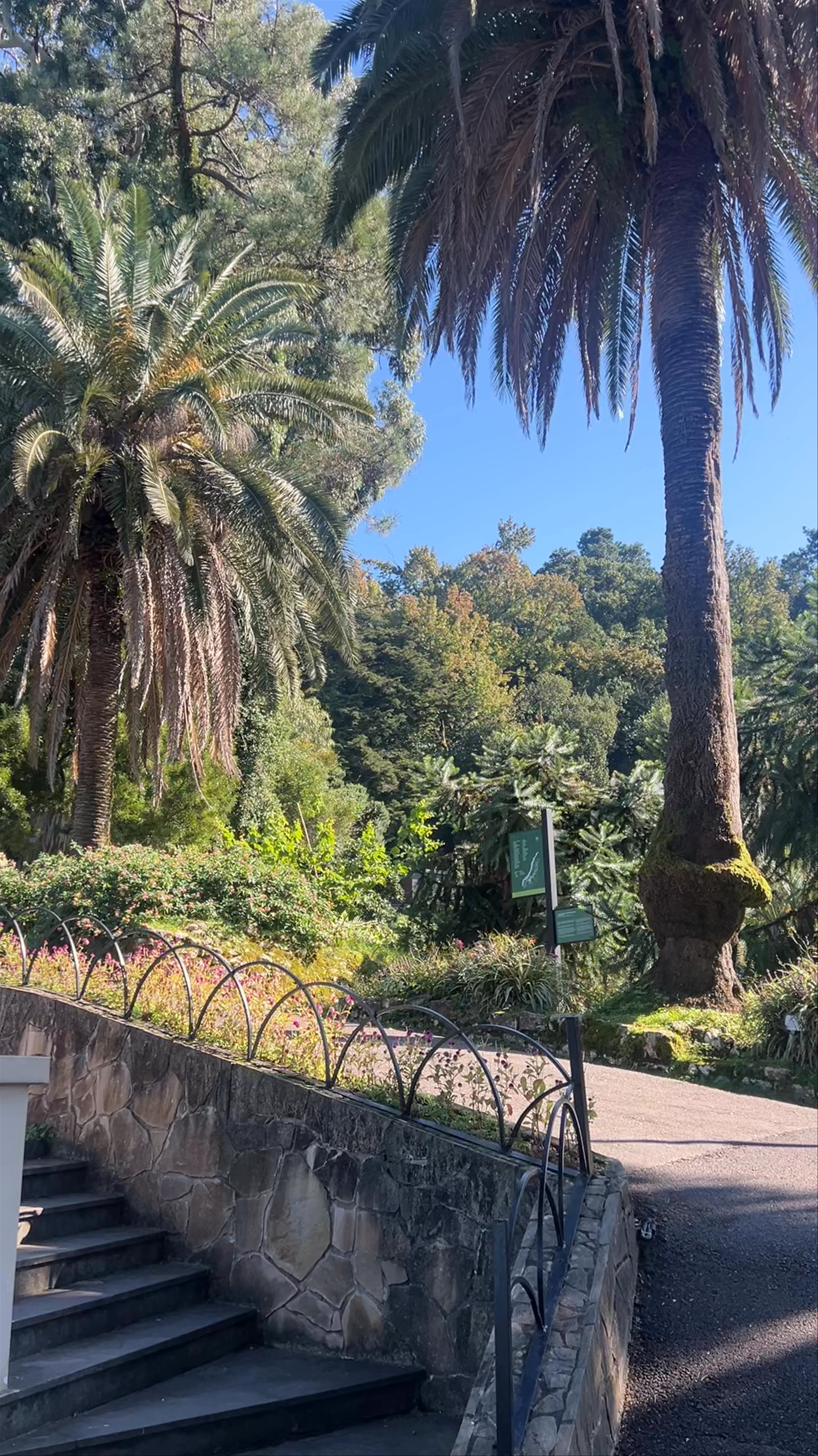 Botanical Garden Beach