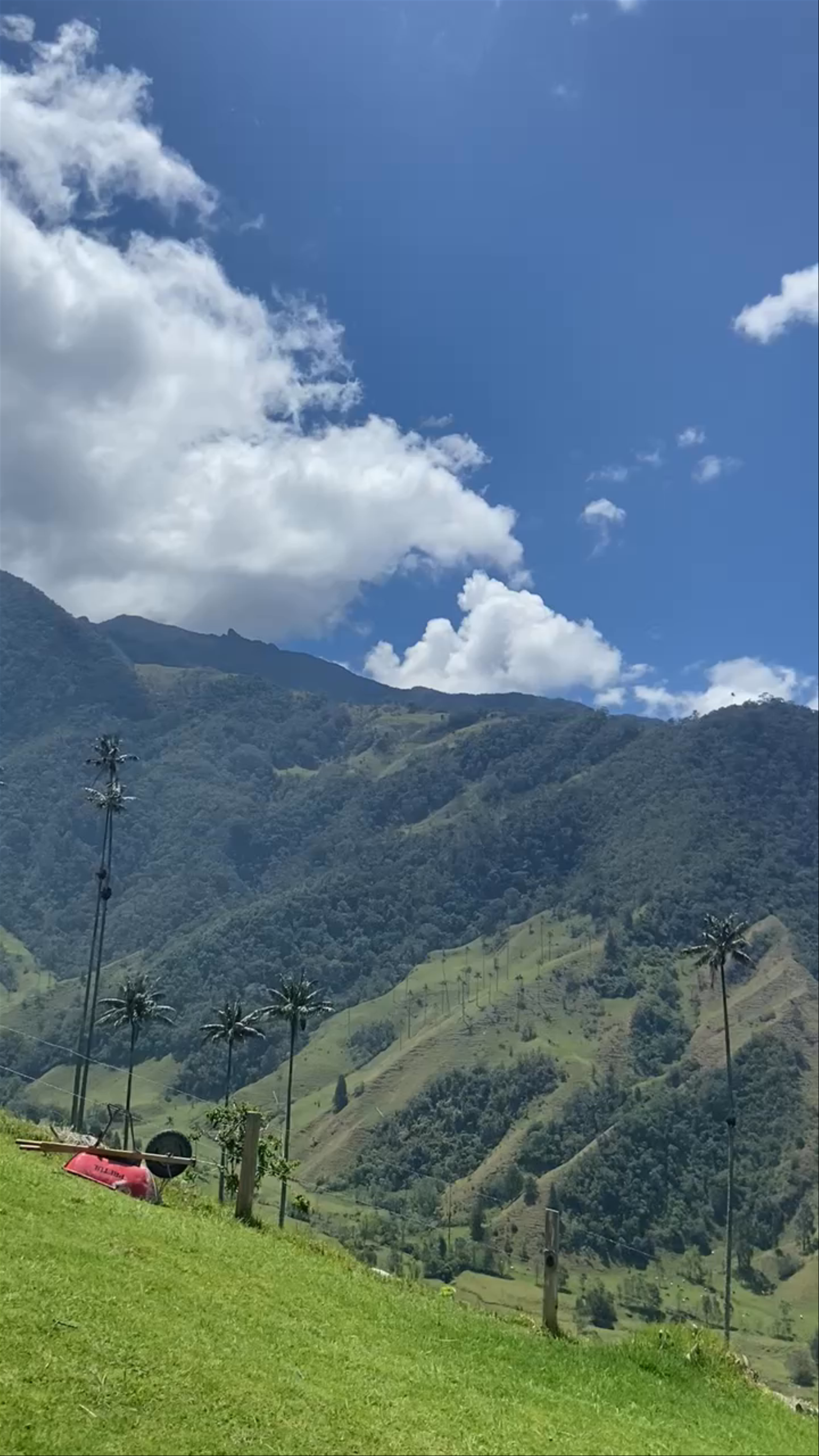Cocora Valley Trail: Breathtaking Heights in Salento, Colombia