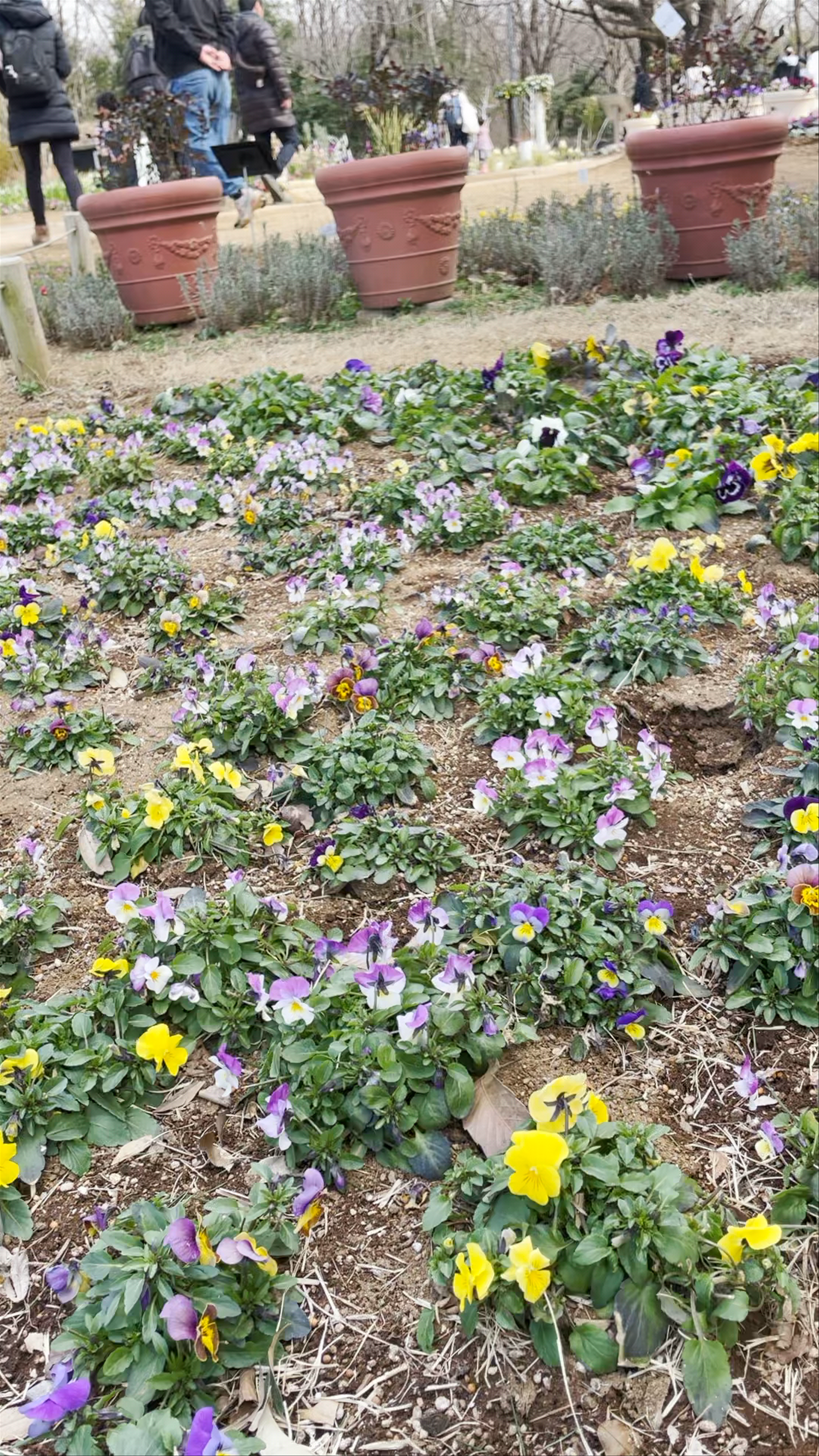 Funabashi Andersen Park