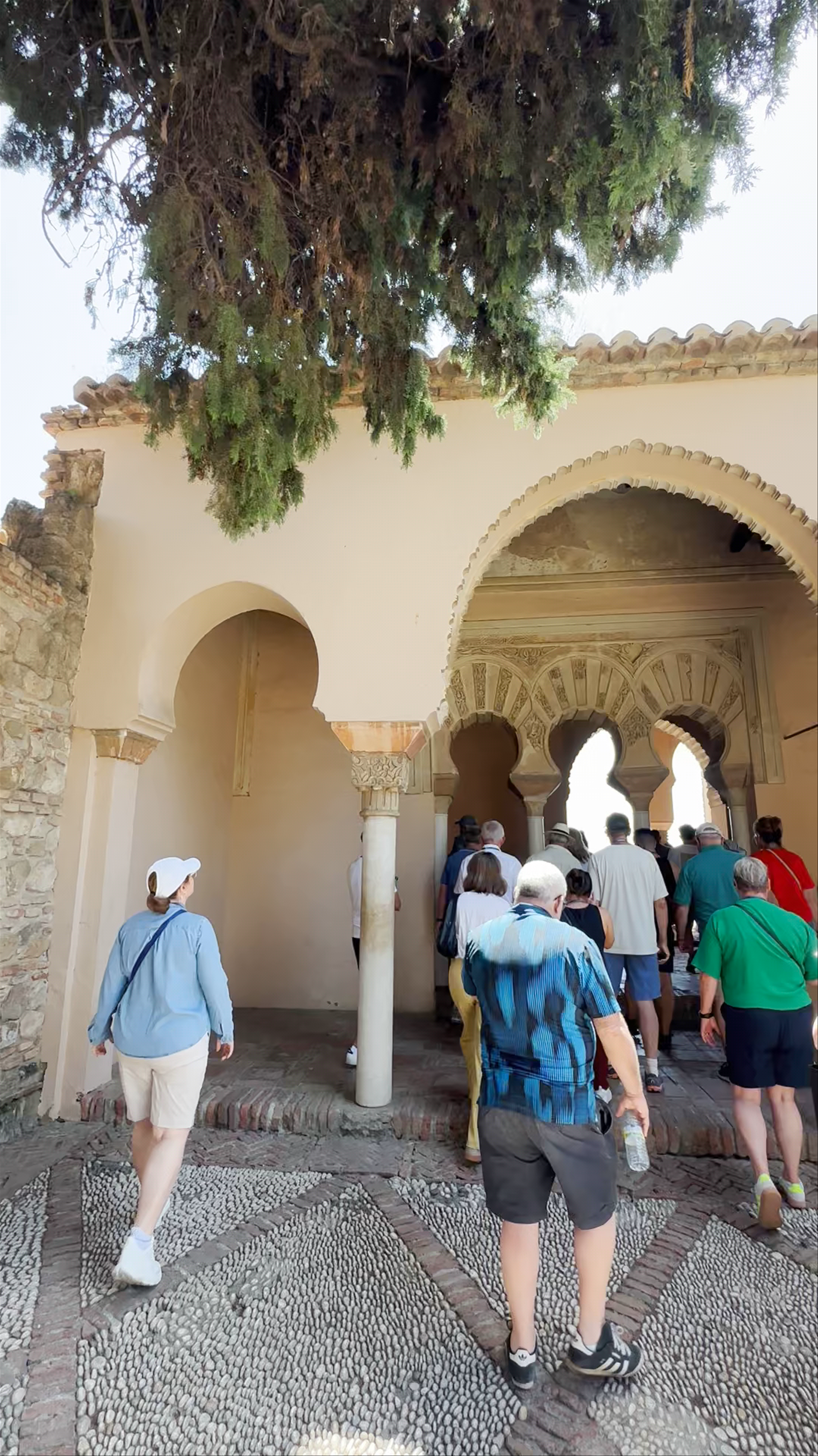 Patio de la Alberca