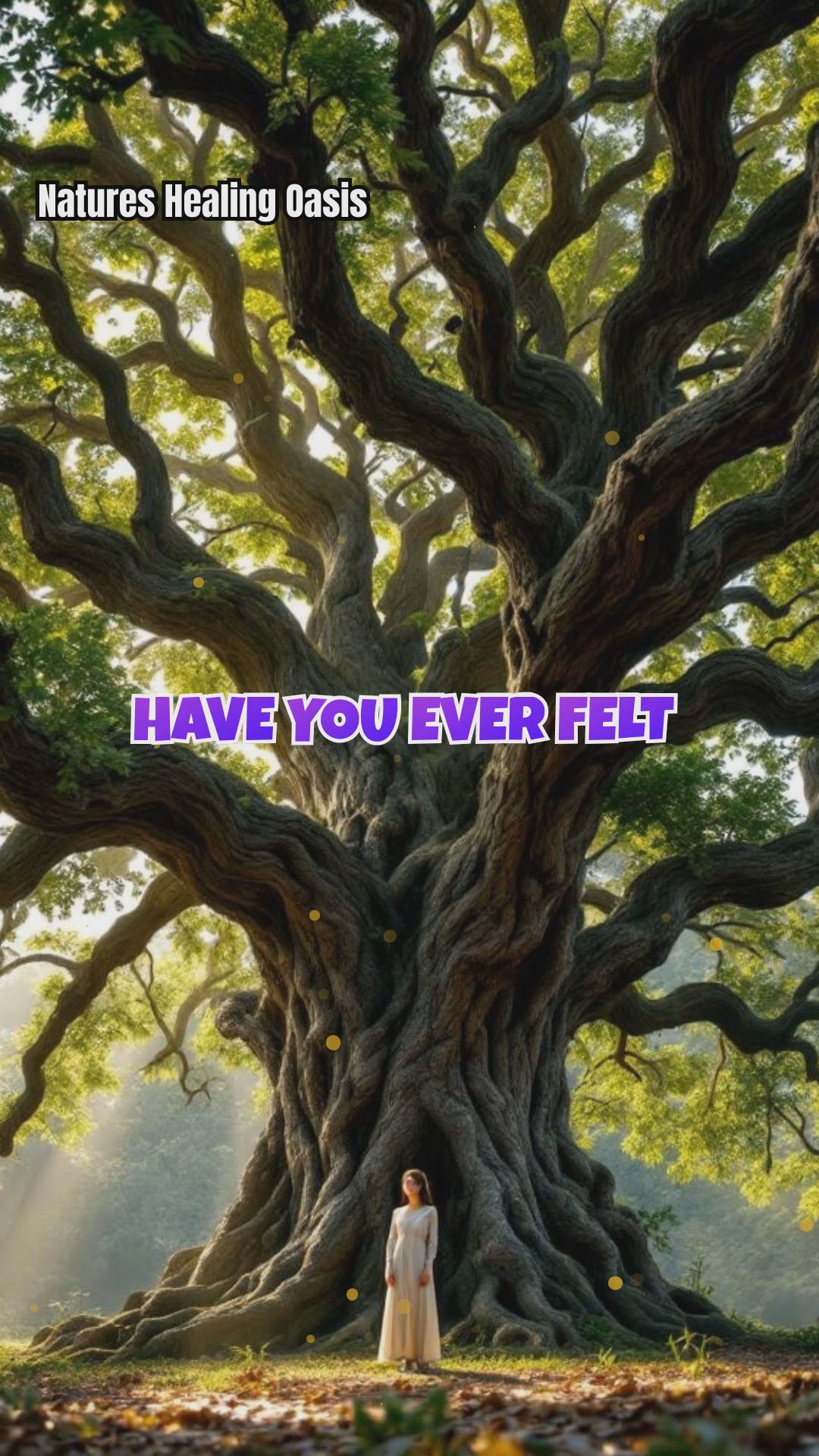 Tree Energy and Personal Transformation: Real Stories of Life Change