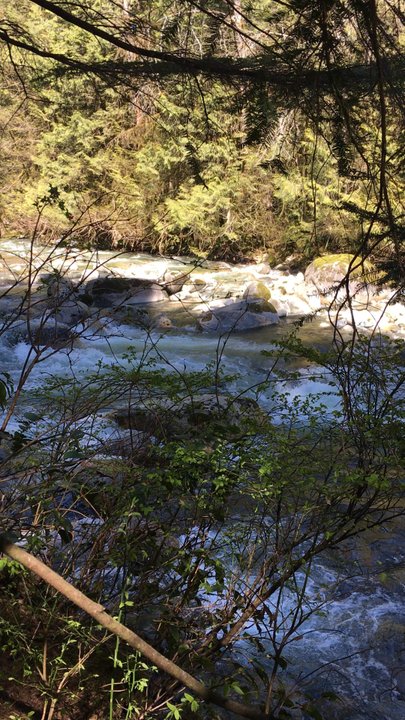 Varley Trail - Hiking Near Me - North Vancouver, British Columbia