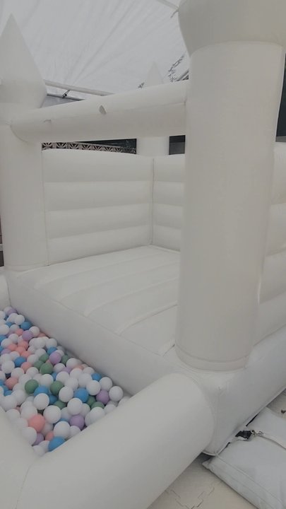 Camis Funzone - Absolutely gorgeous set up! - Bounce House Rentals Near Me