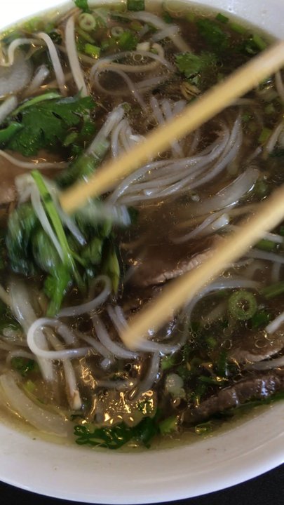 ZEN Noodle Bar - Oh, hey Pho! - Vietnamese Near Me - Gainesville, Florida