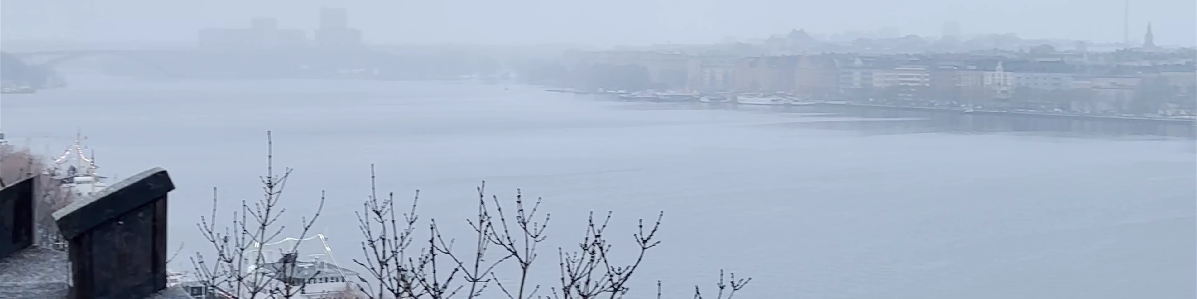 Monteliusvägen