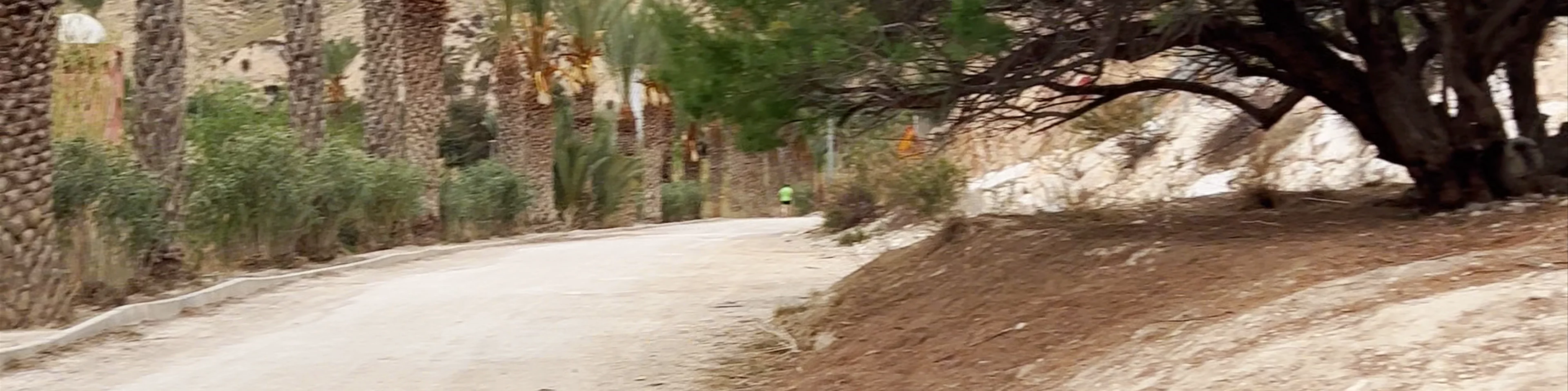 Paseo de las Palmeras