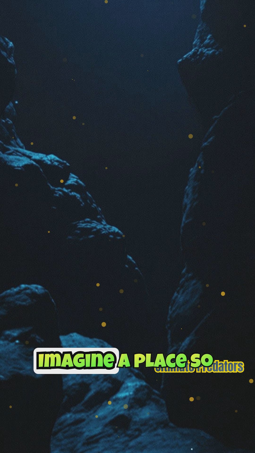 Giant Pacific Octopus vs. Pacific Sleeper Shark: Deep Sea Showdown