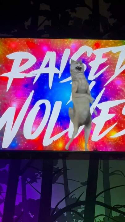 Raised By Wolves - Bars Near Me - Las Vegas, Nevada