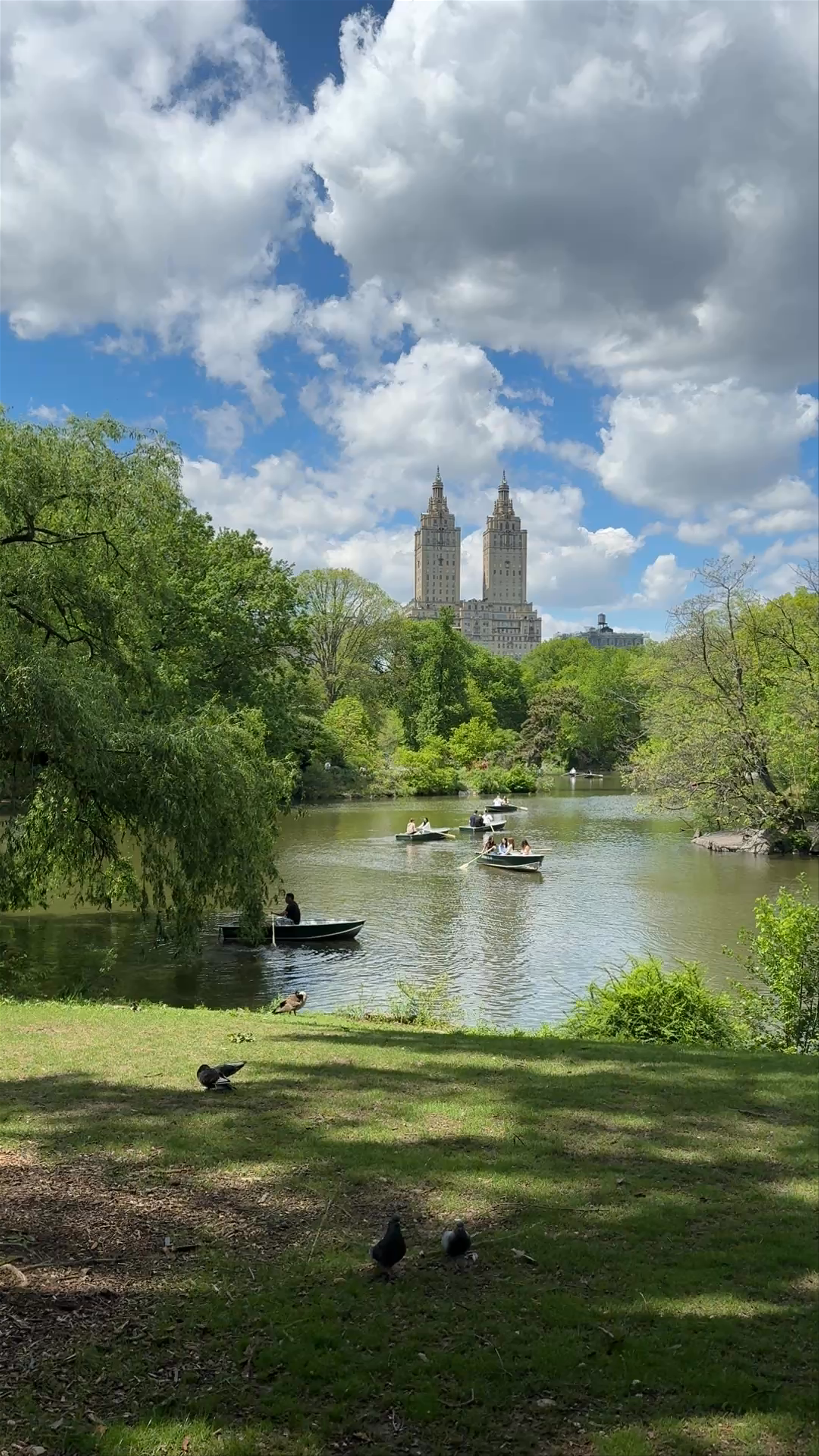 Central Park