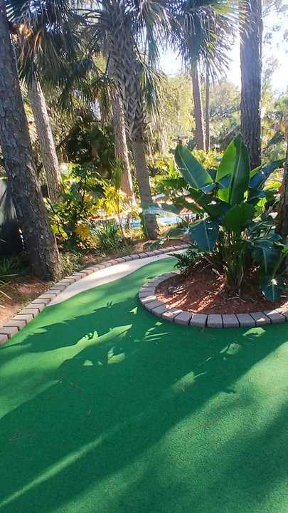 Adventure Cove - Mini Golf Near Me - Hilton Head, South Carolina