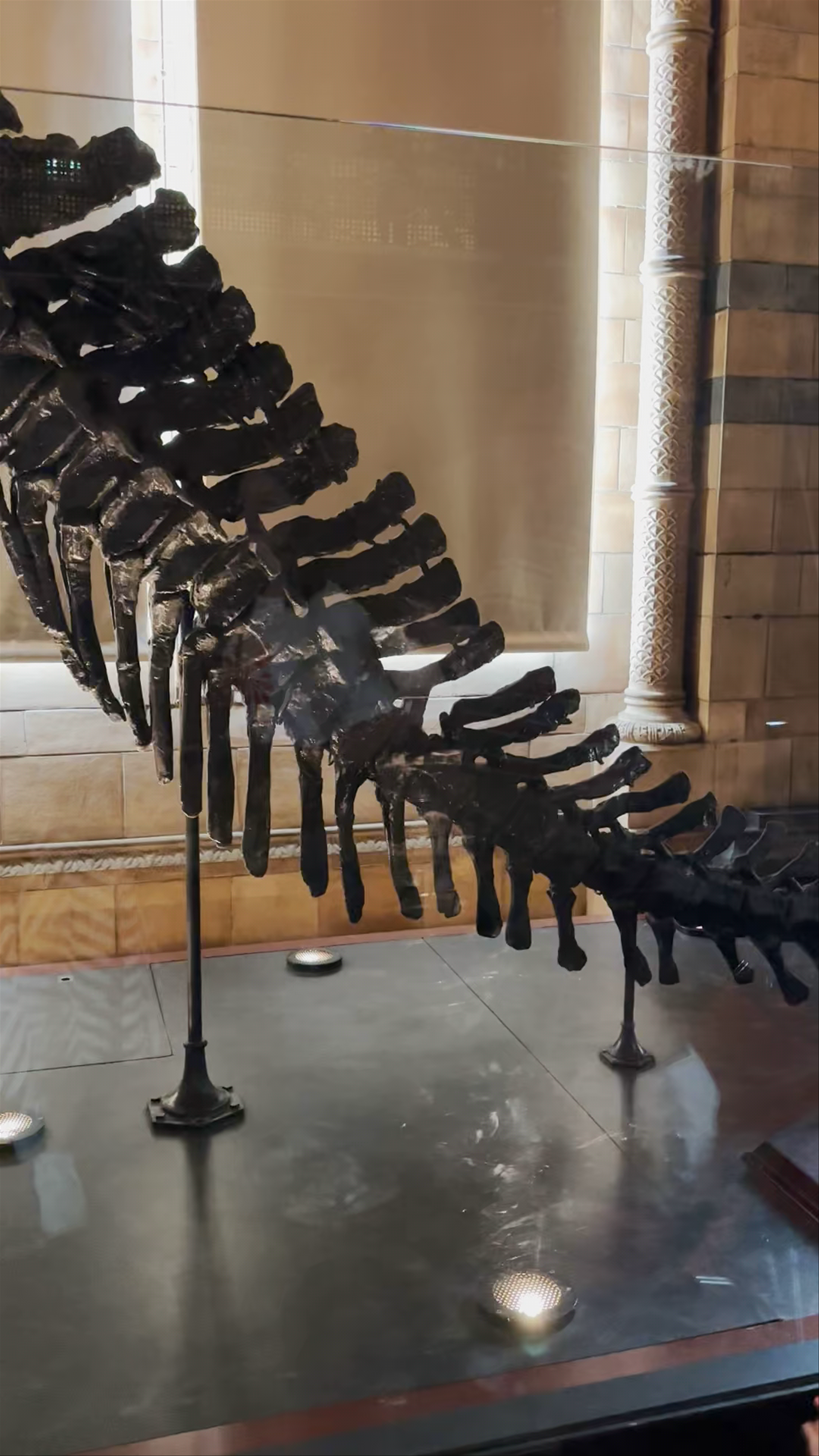 Natural History Museum