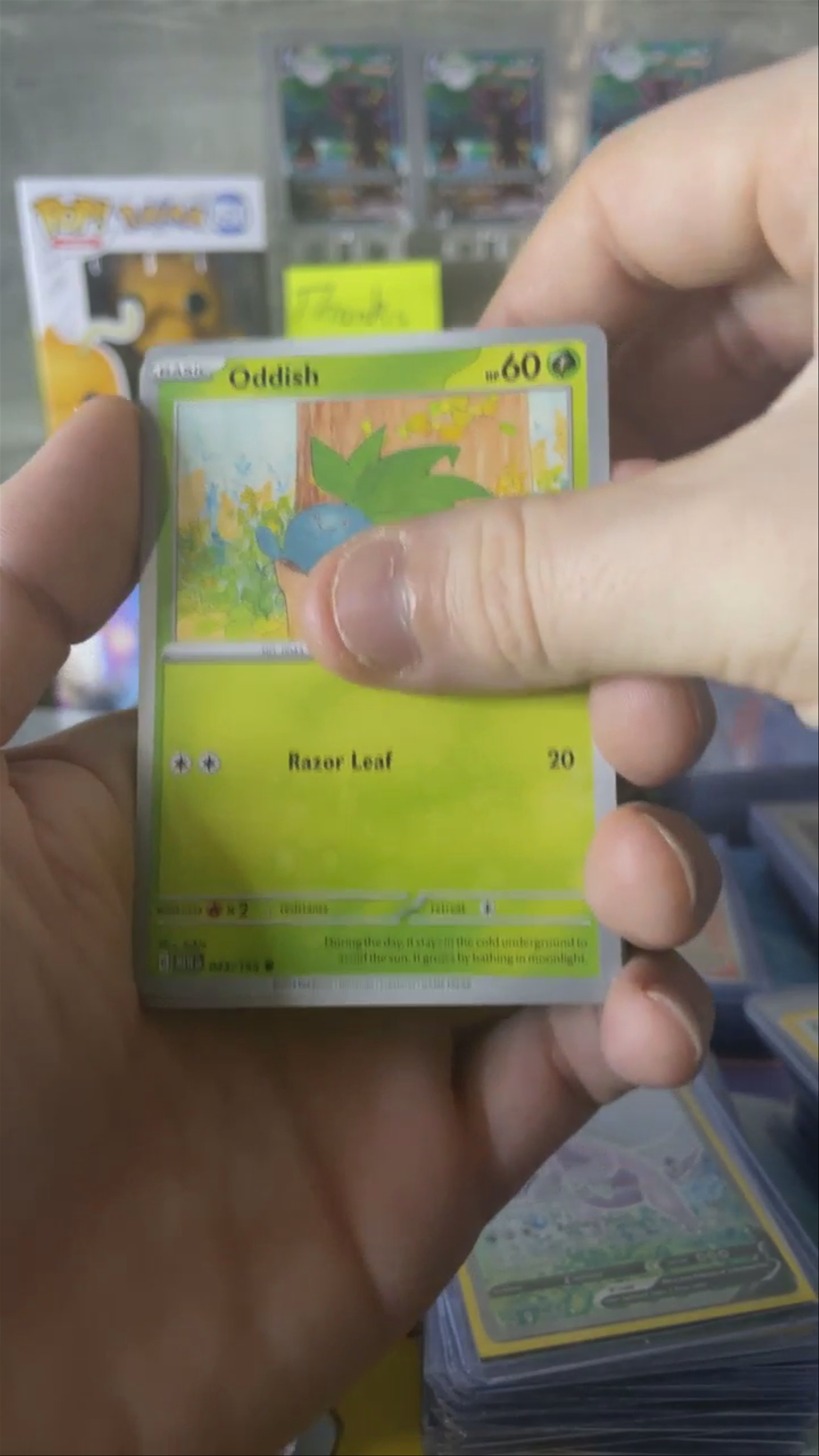 Erika’s and Kangaskhan ex