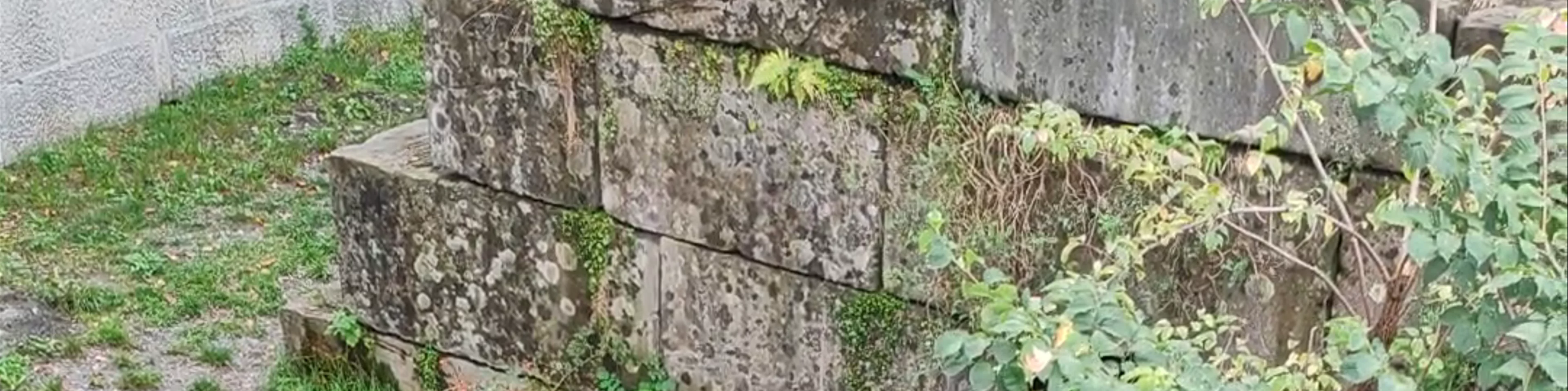 Bear Pit