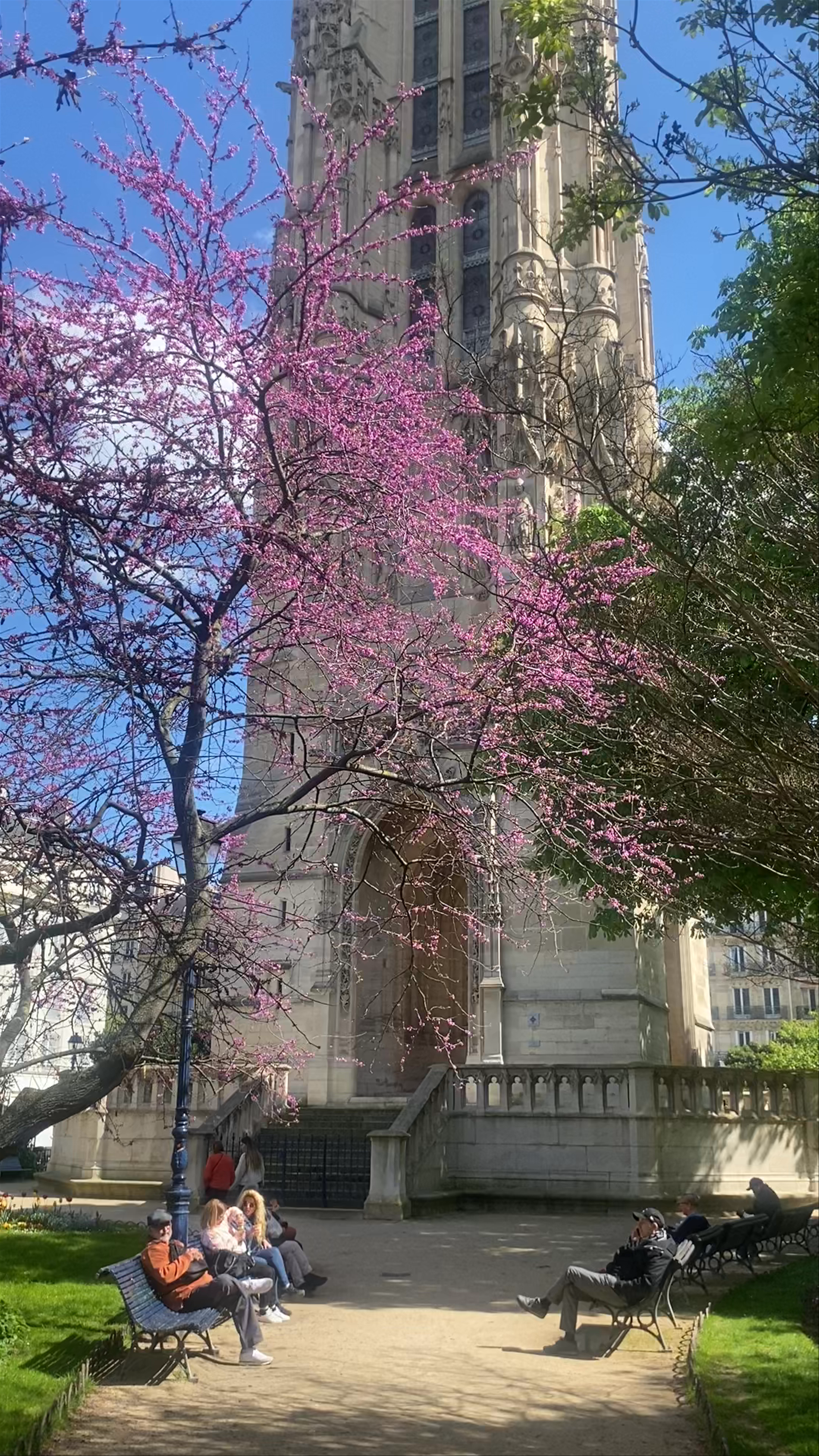 Springtime Serenity at Tour Saint-Jacques, Paris