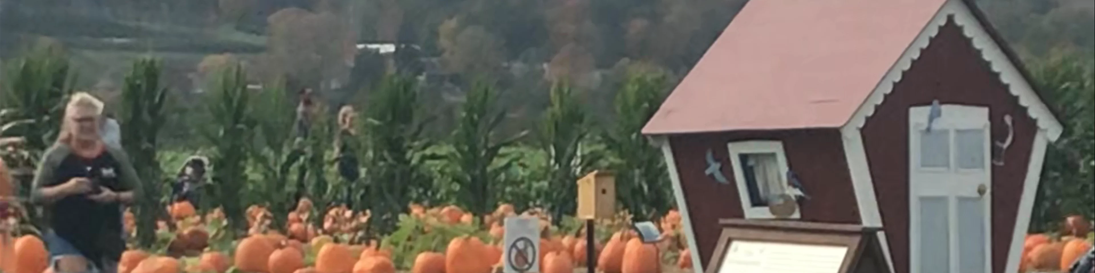 Jones Family Farms 