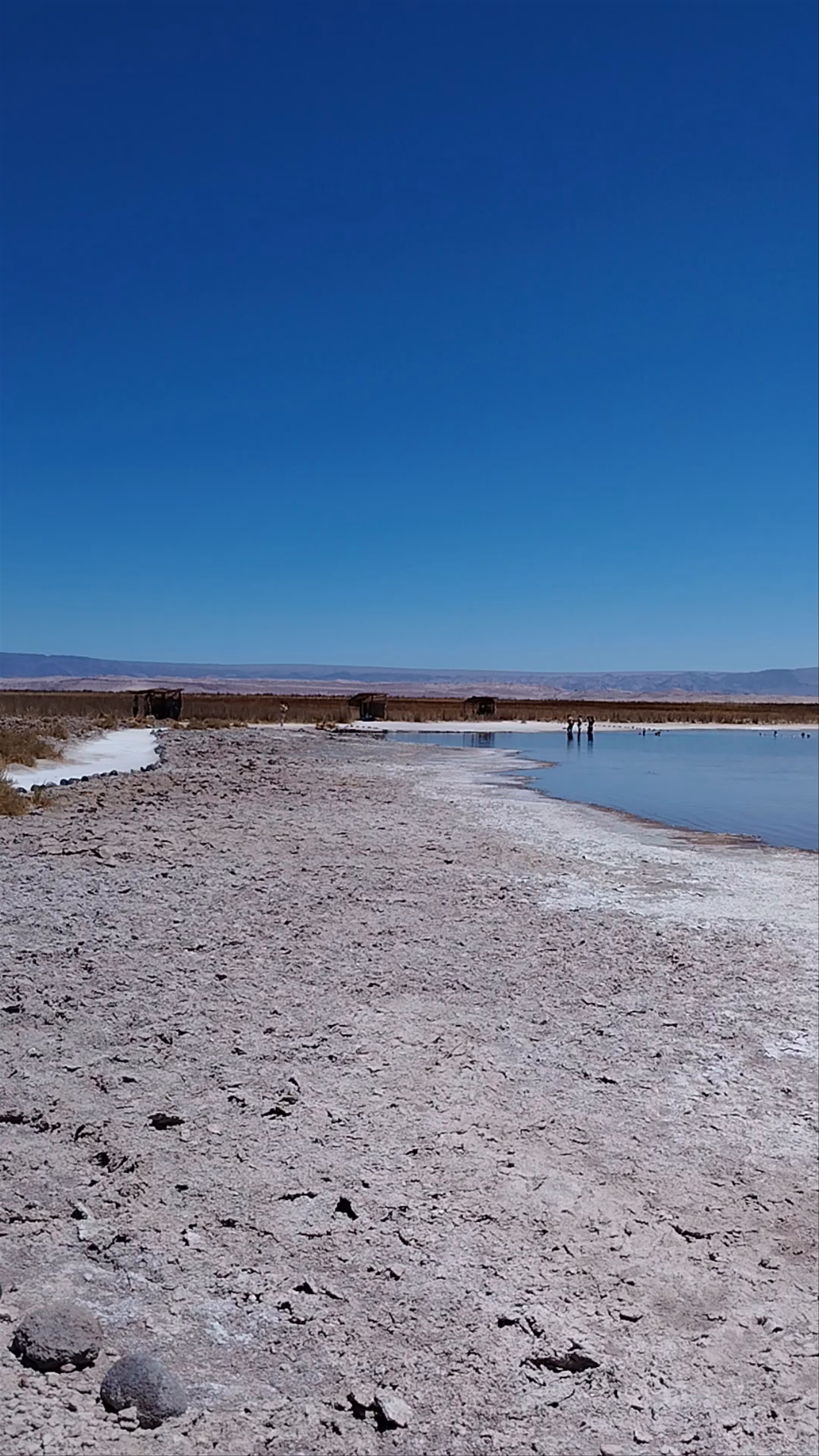 Laguna Piedra: A Salt Lake Oasis in San Pedro de Atacama