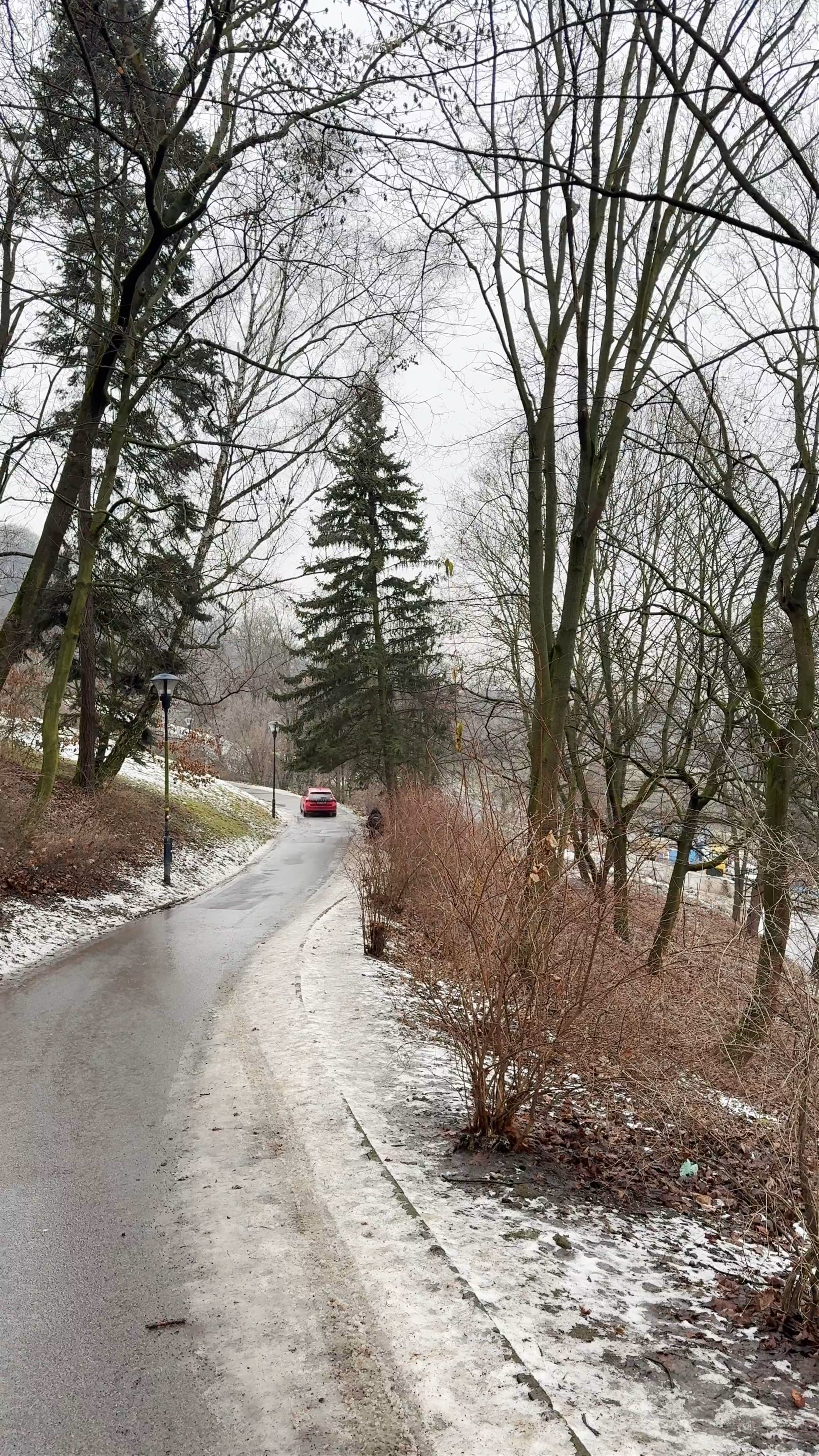 Wienerův trojúhelník