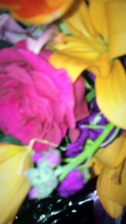 Daffodils - Beautiful !!!! - Florists Near Me - Chicago, Illinois