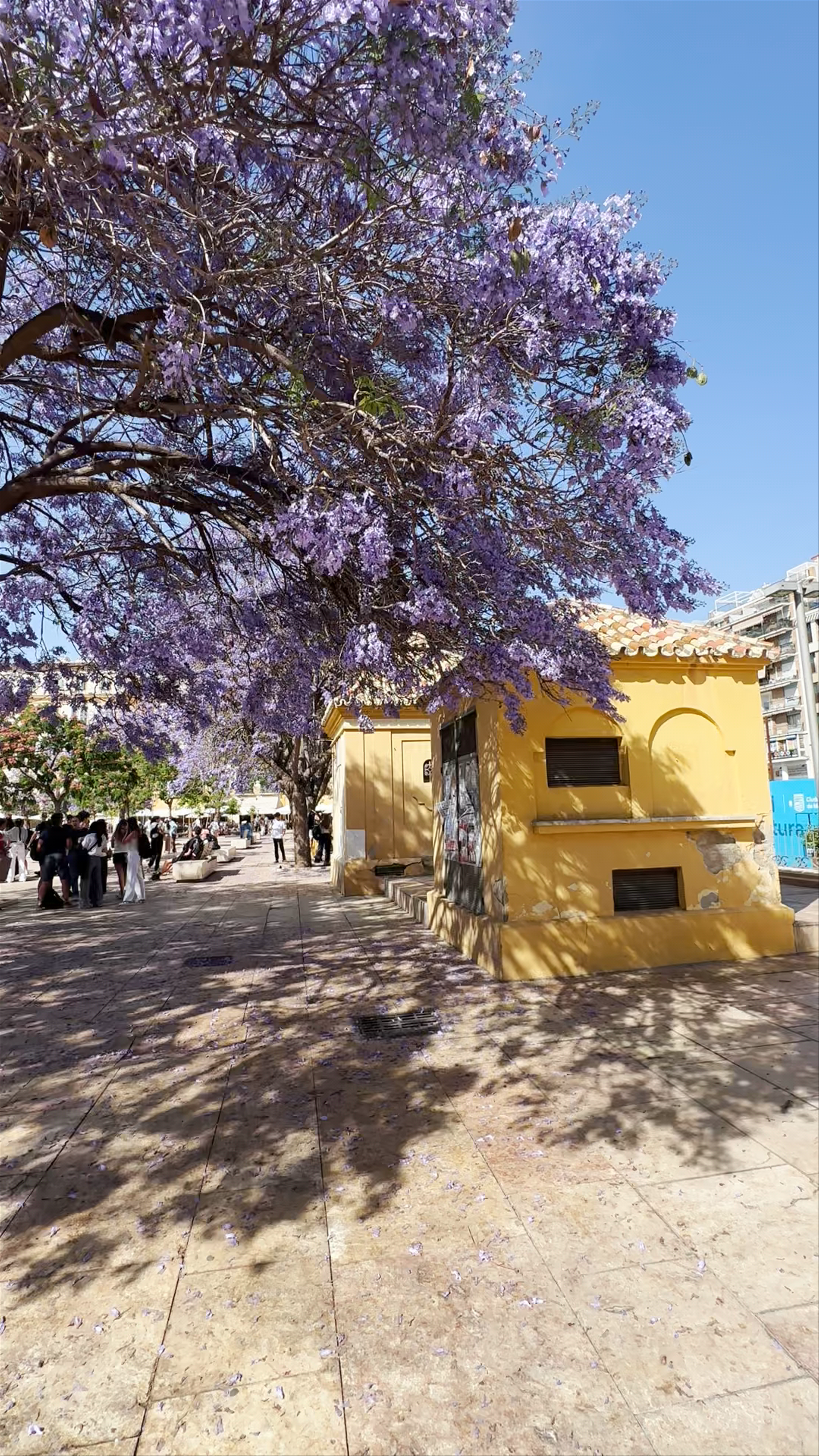 Plaza de la Merced