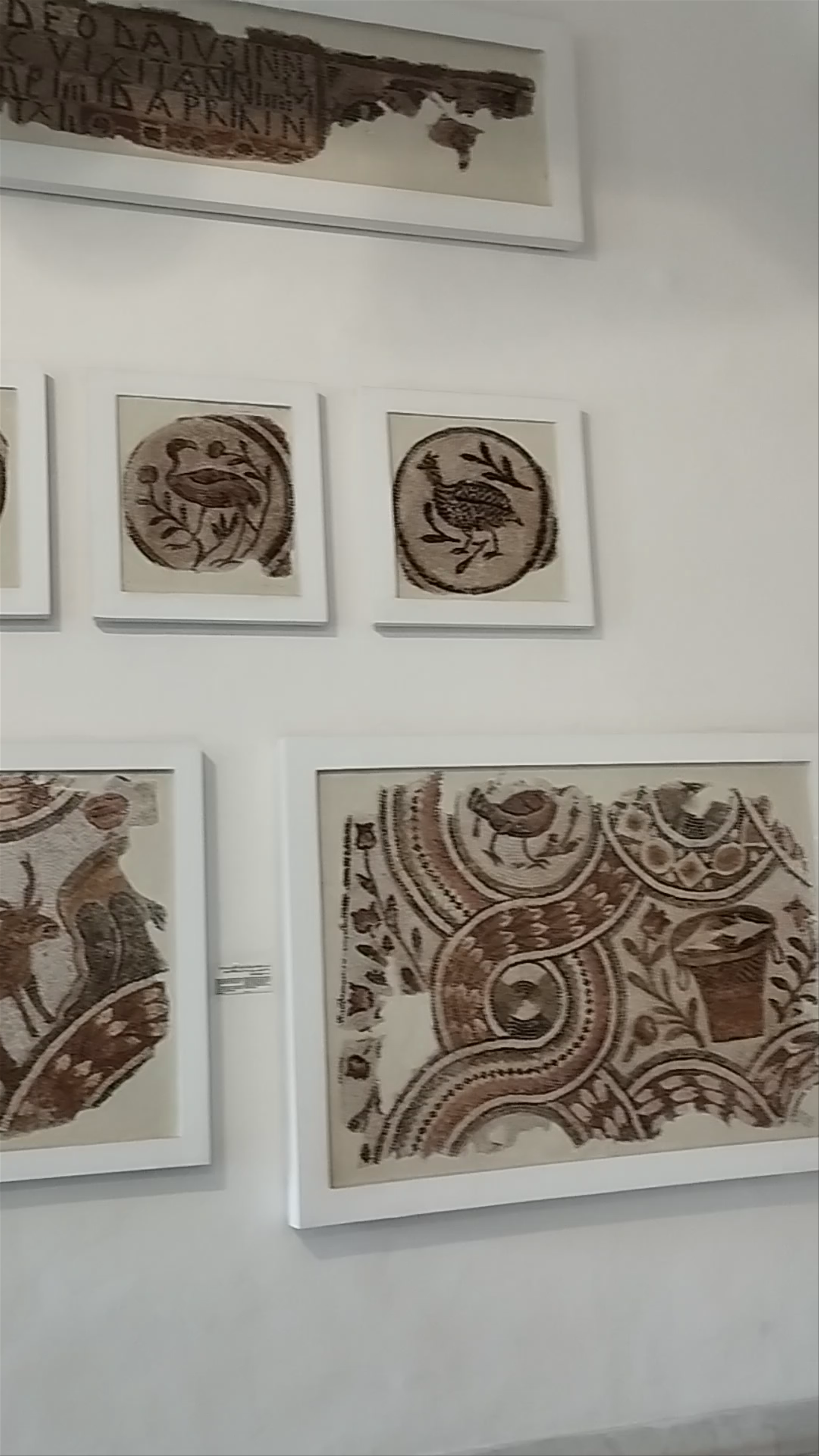 Museo Nazionale del Bardo