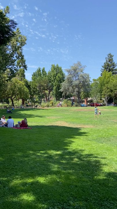 Edith Johnson Park - beautiful summer day in the park...with live music - Parks Near Me - Palo Alto, California
