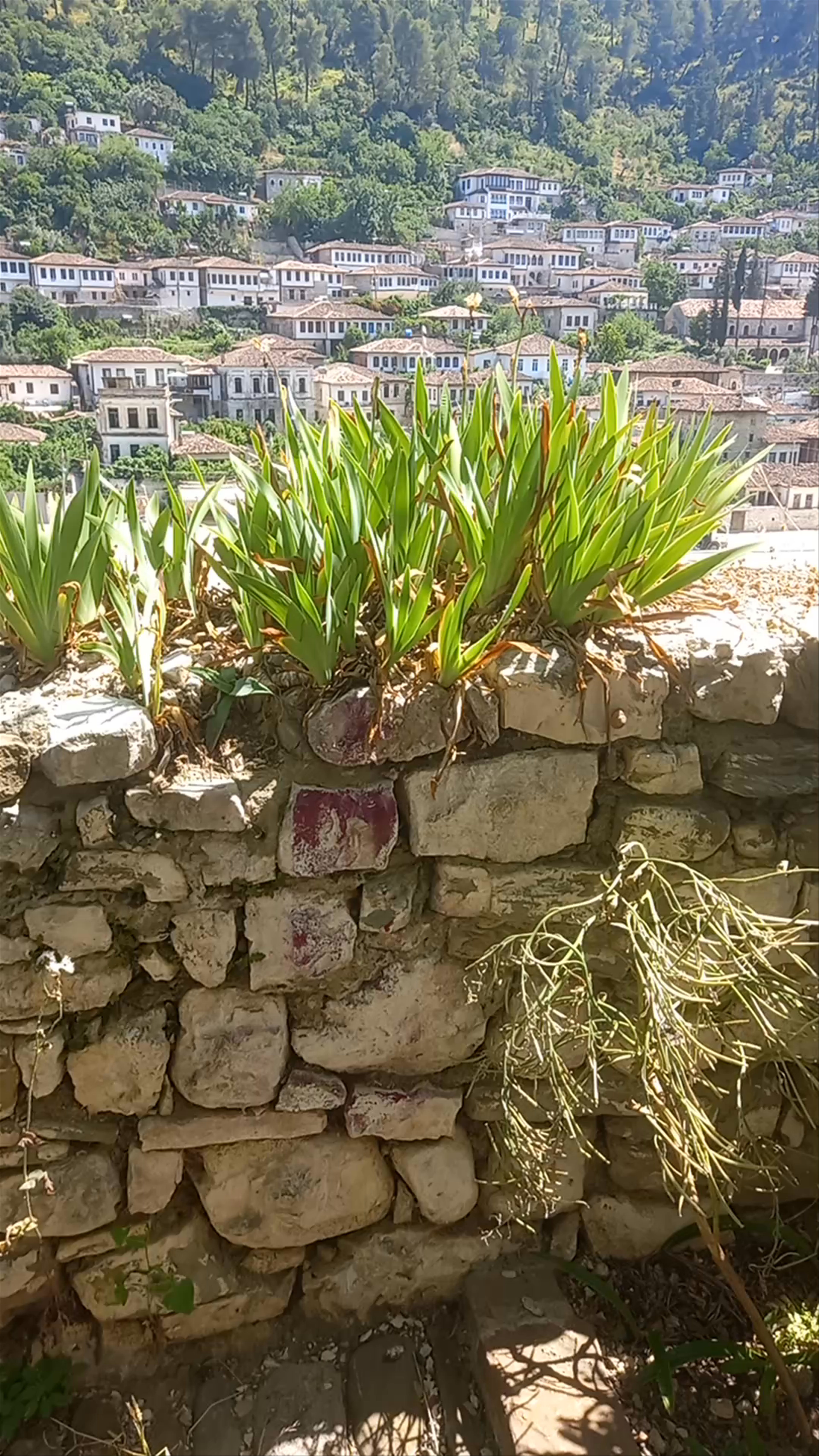Sunlit Serenity: Exploring the Old Town of Berat, Albania