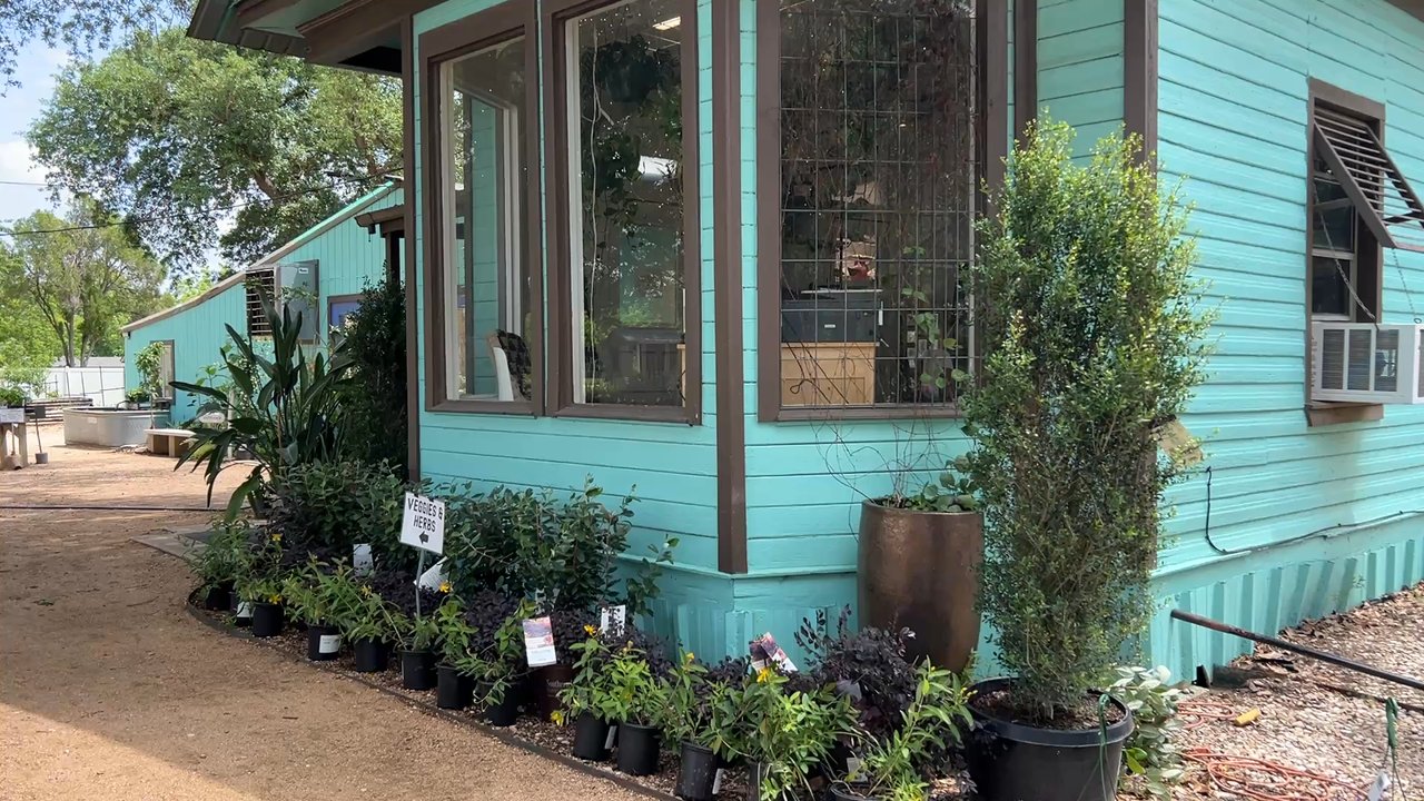Green Sleeves Nursery - Nurseries & Gardening Near Me - Pflugerville, Texas