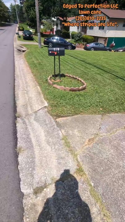 Edged To Perfection - Fresh cut - Lawn Services Near Me - Birmingham, Alabama