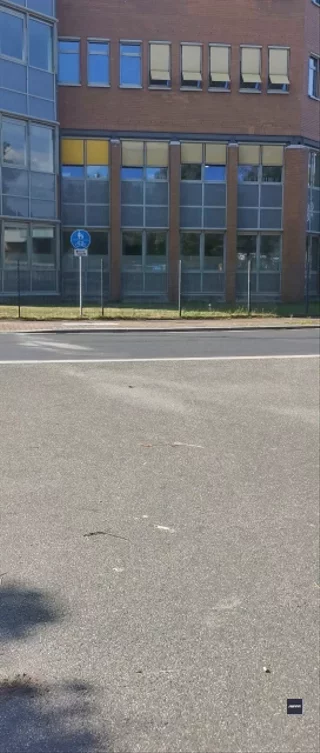 riu submission: Backflip