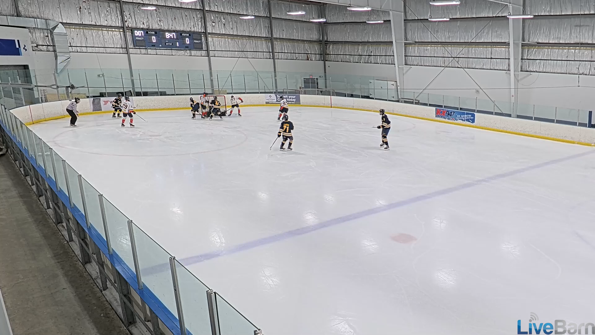 Anderson Somerville: Elite Defensive Highlights from U14 Burlington Eagles AA