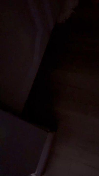 First Light Property Management - Sounds of rats chewing in the walls at 9 pm - Property Management Near Me - Manhattan Beach, California