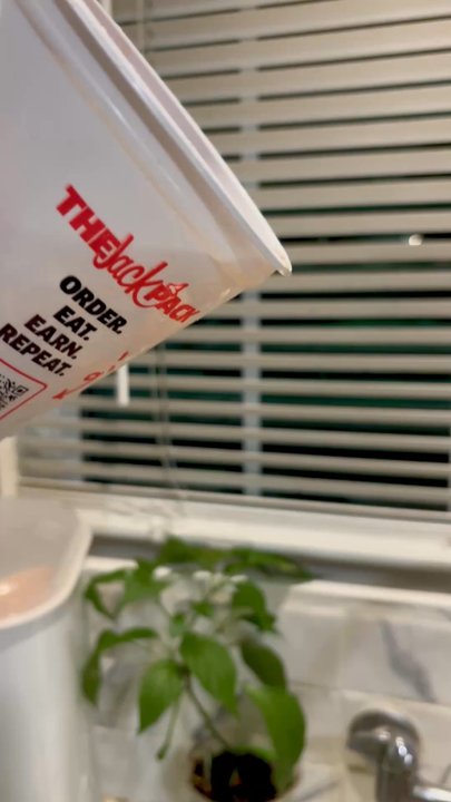 Jack in the Box - Slimy ICED tea. - Burgers Near Me - Paramount, California