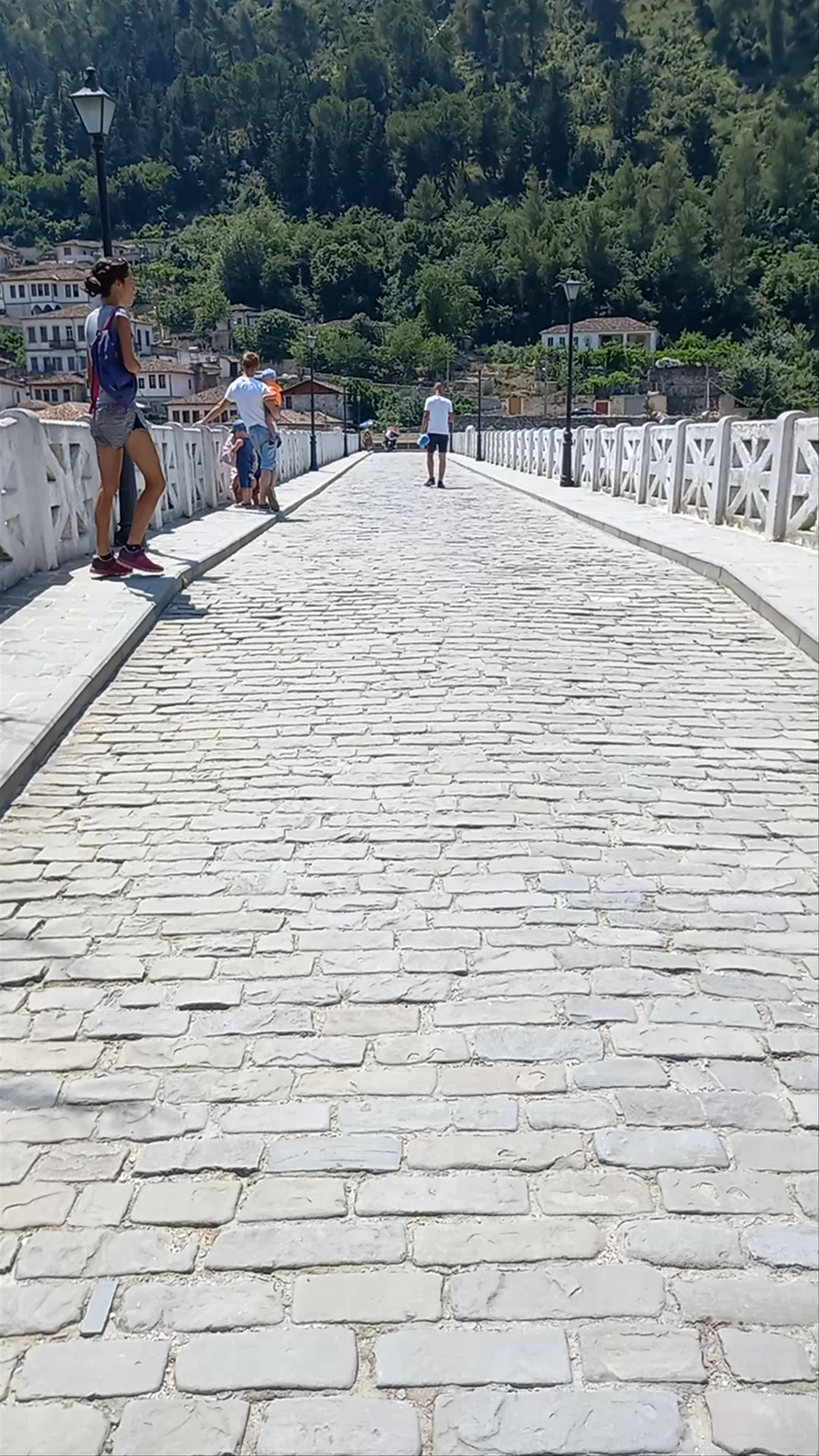 Gorica Bridge