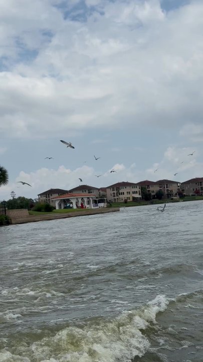 Taylor Lake - Taylor Lake - Lakes Near Me