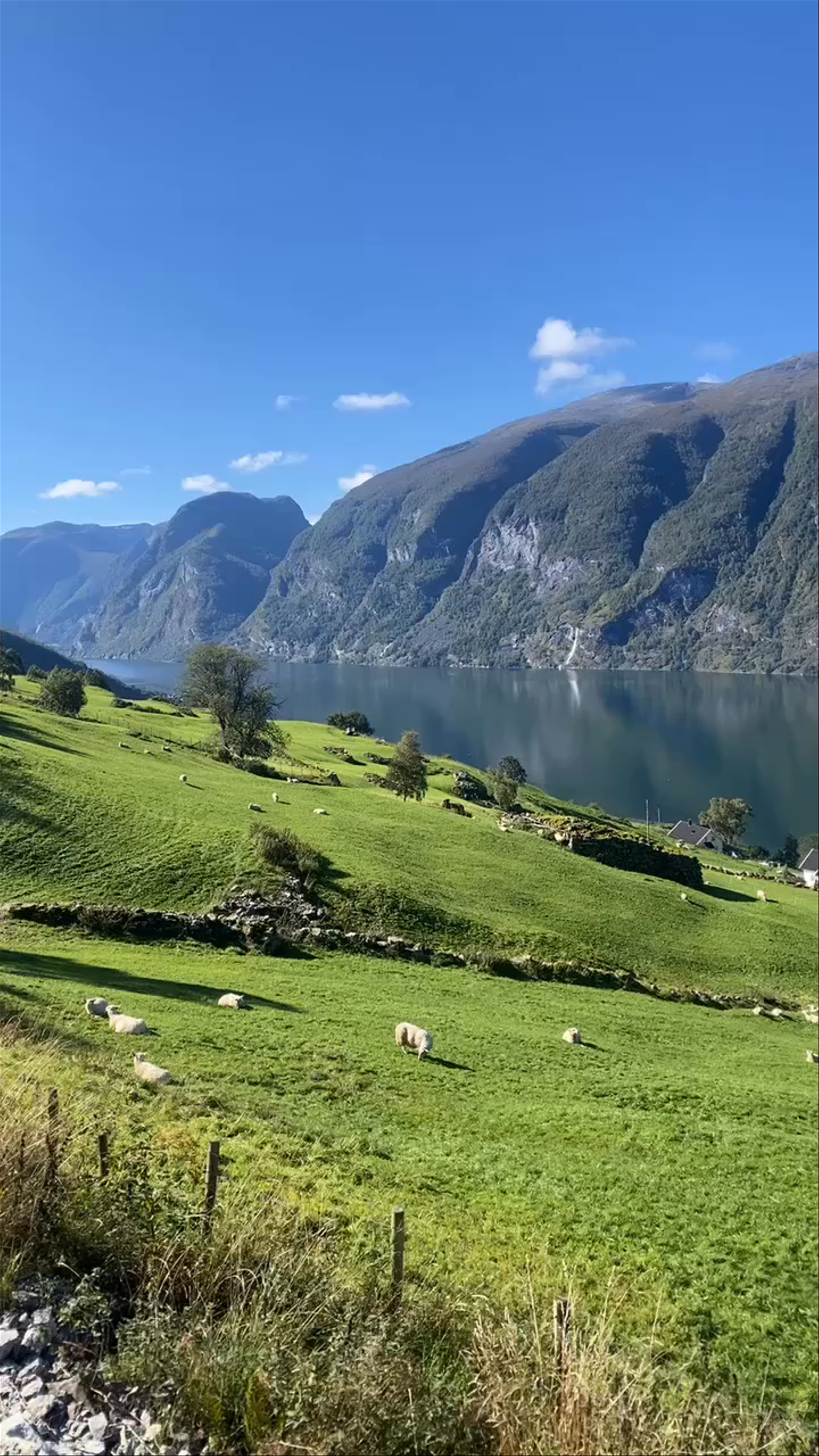 Tranquil Fjord Views at Aurlandsfjord, Norway