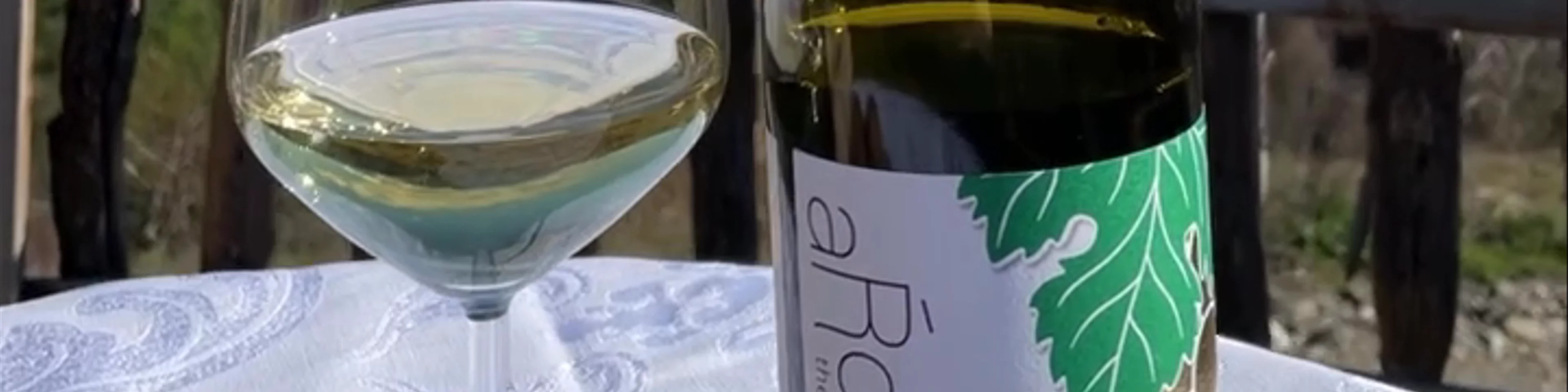 Alpeta Agritourism & Winery (Alpeta Agroturizem)