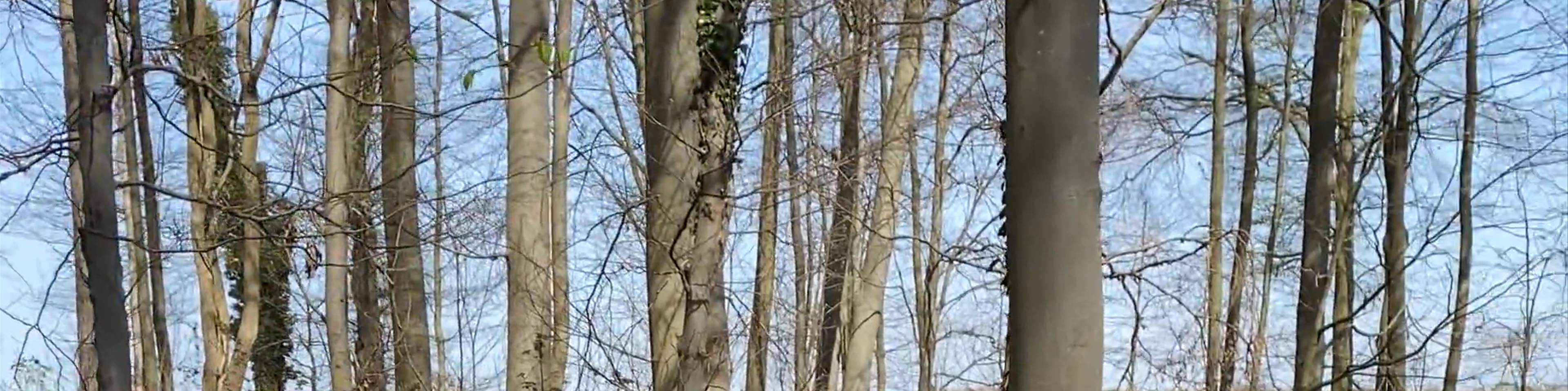 Hückelhoven