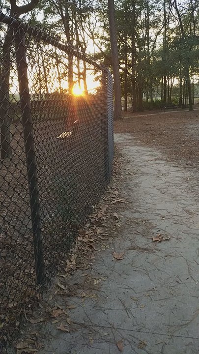 OceanWay Park - Tennis Near Me - Jacksonville, Florida