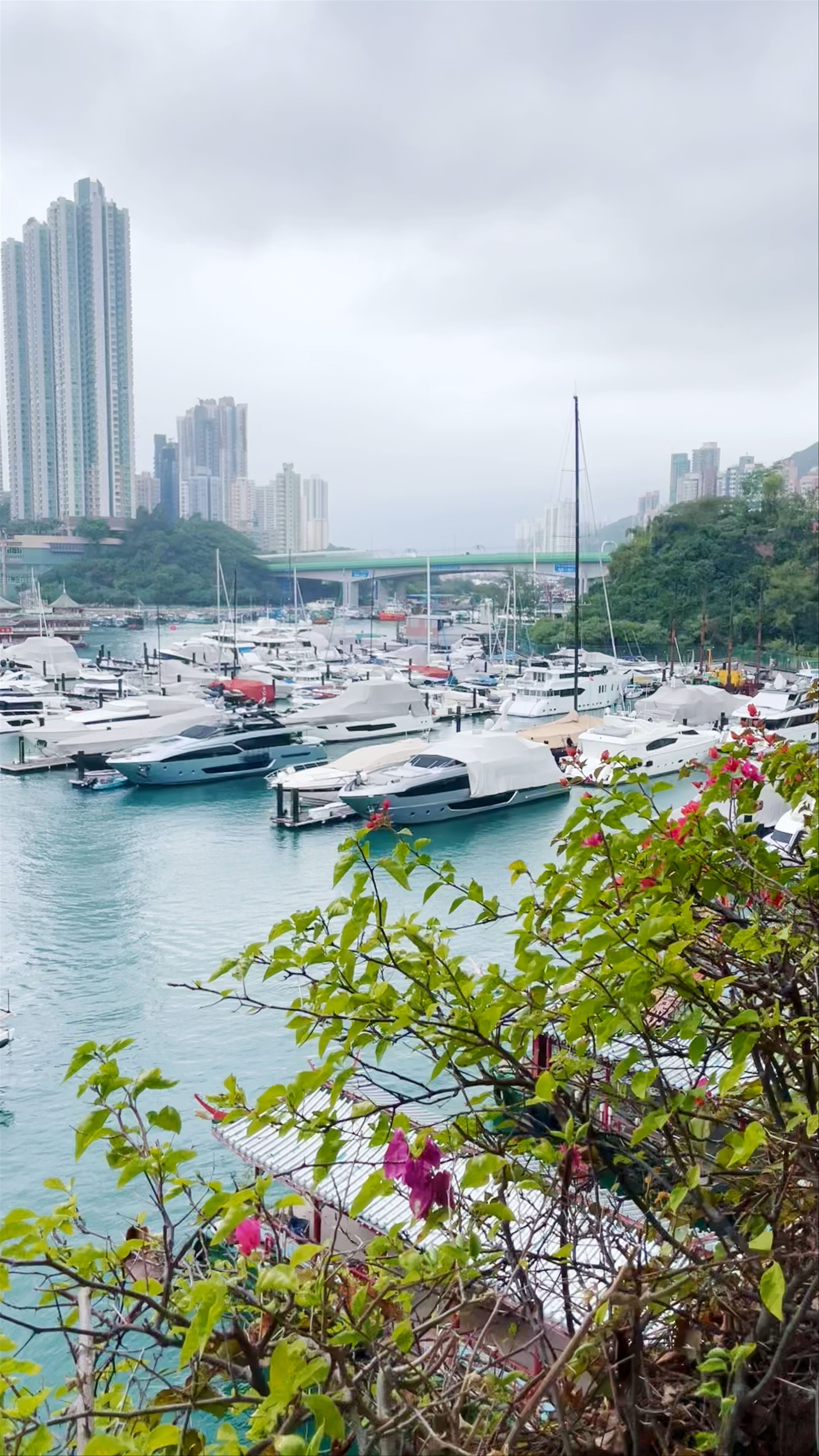 Aberdeen Marina Club