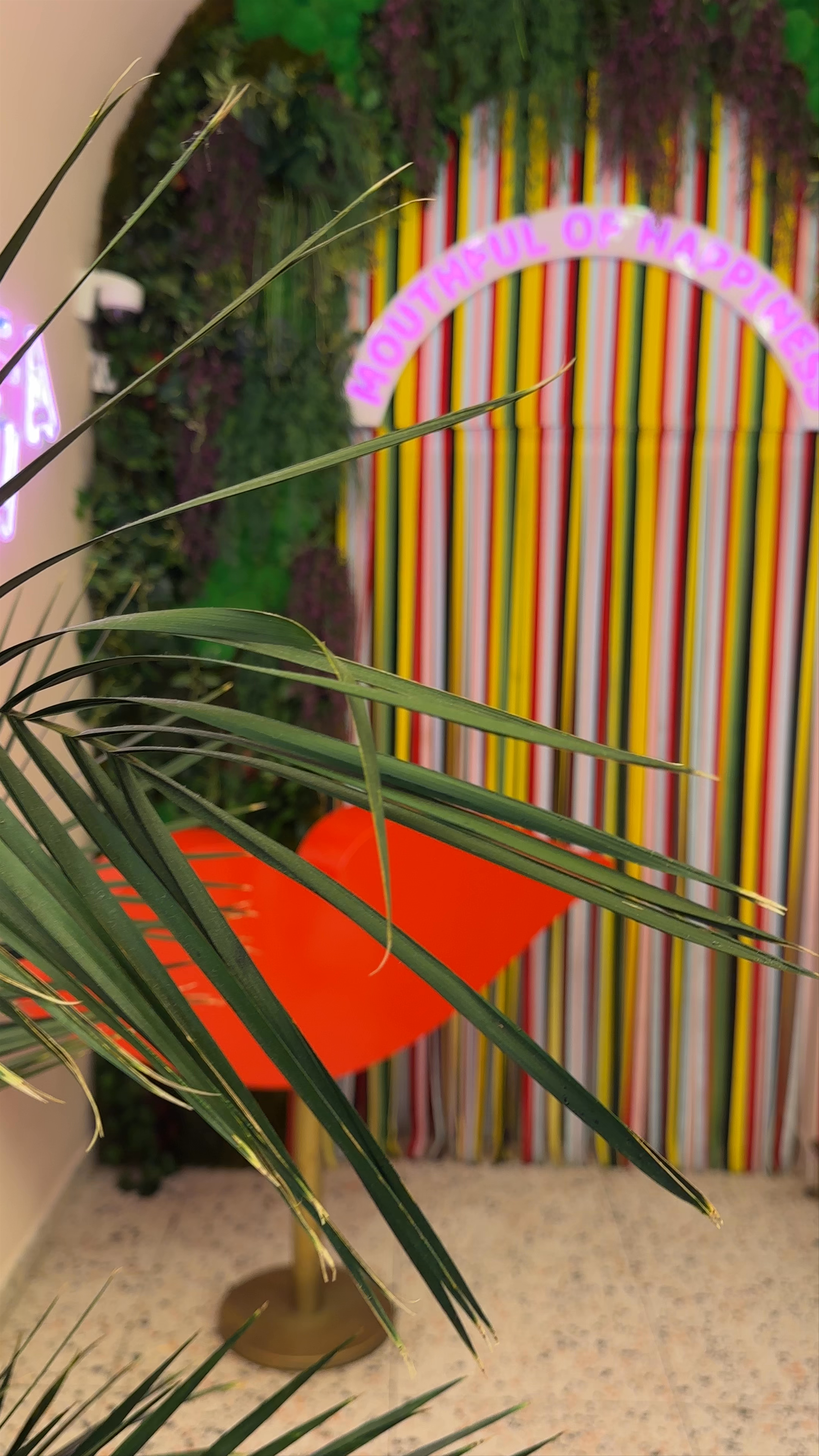 Mouthful of Happiness - Vibrant Artistic Space in Dubrovnik