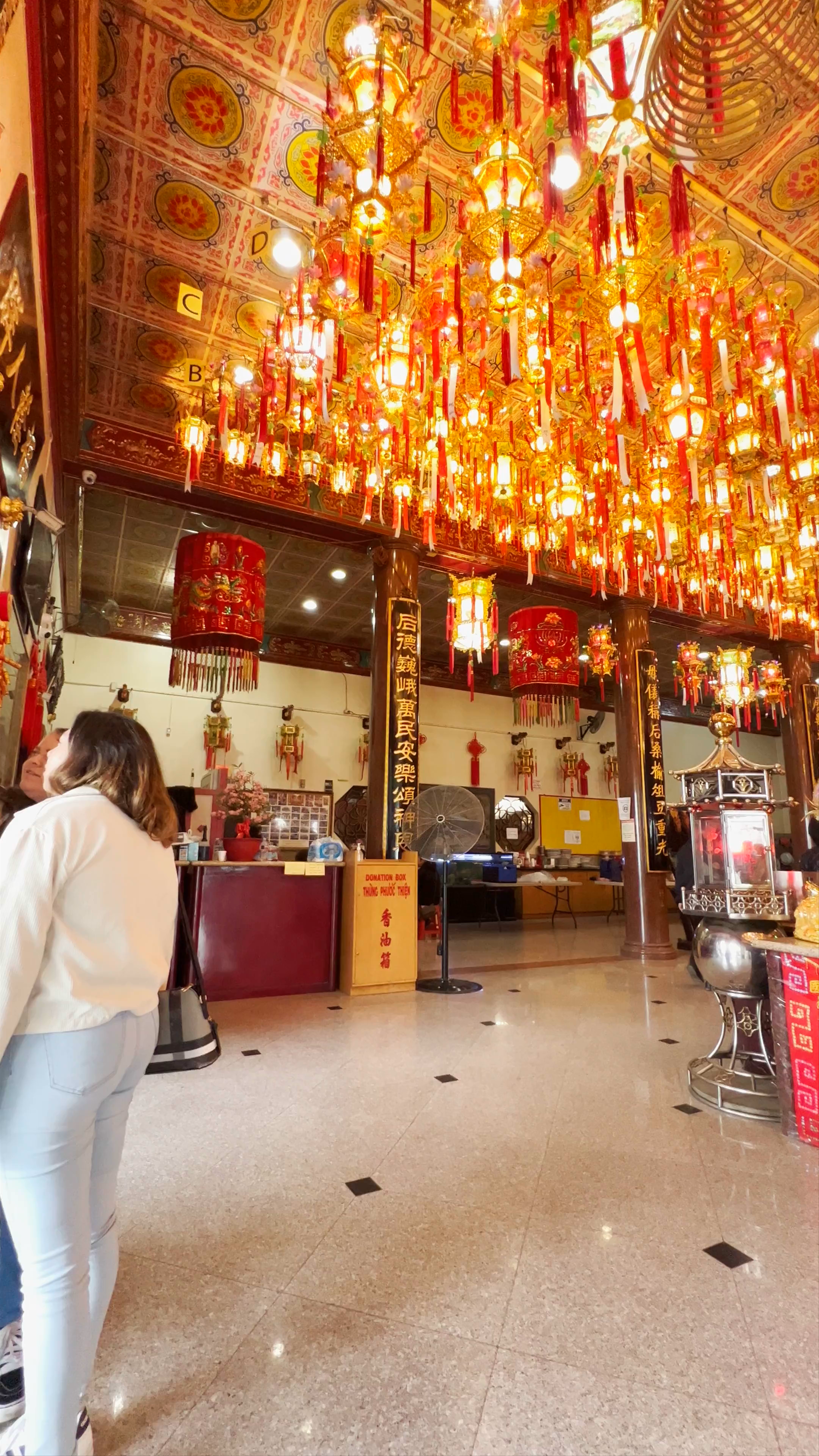 Inside the Vibrant Chinese Theatre on Hollywood Boulevard