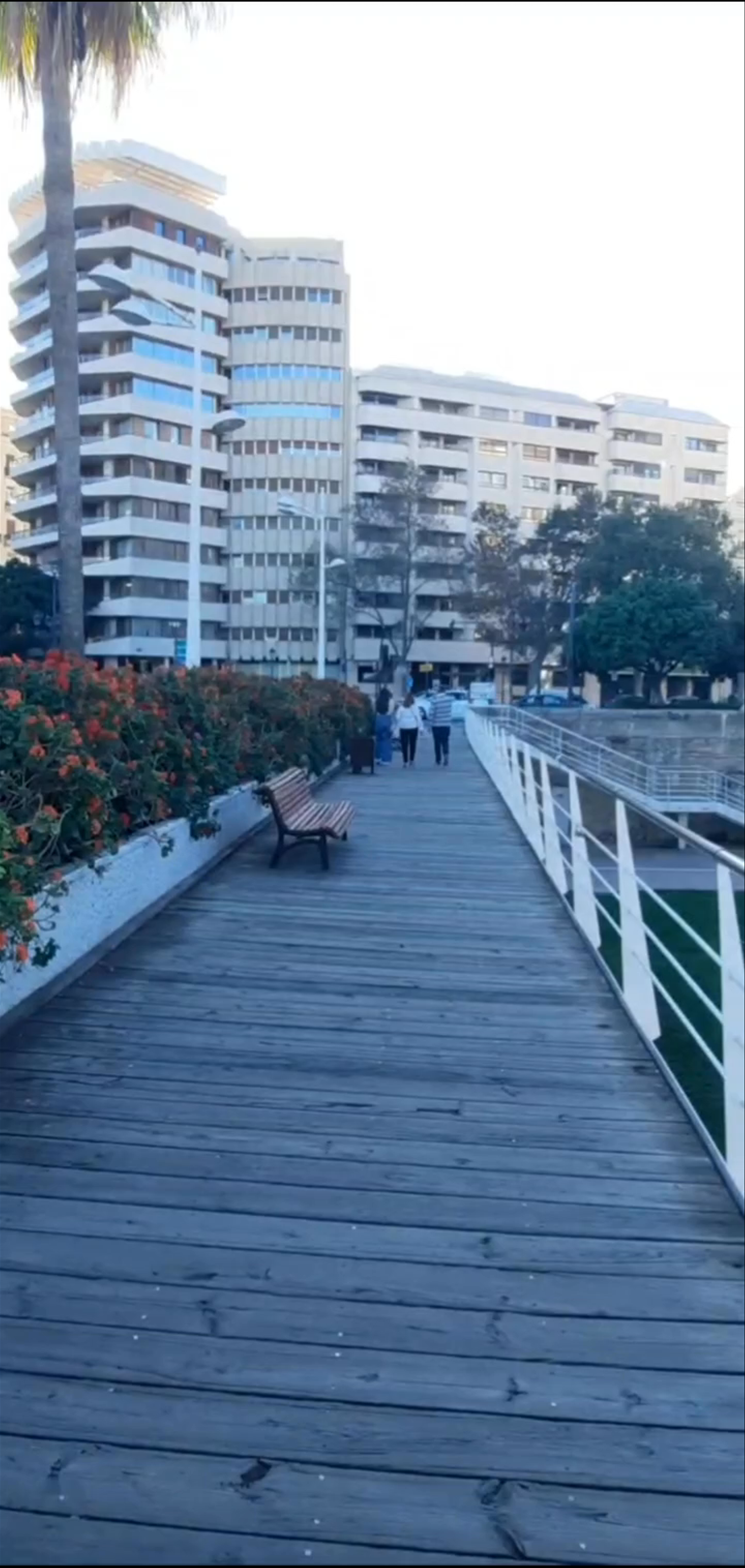 Sunlit Boardwalk and Urban Greenery at Pont del Real, Valencia