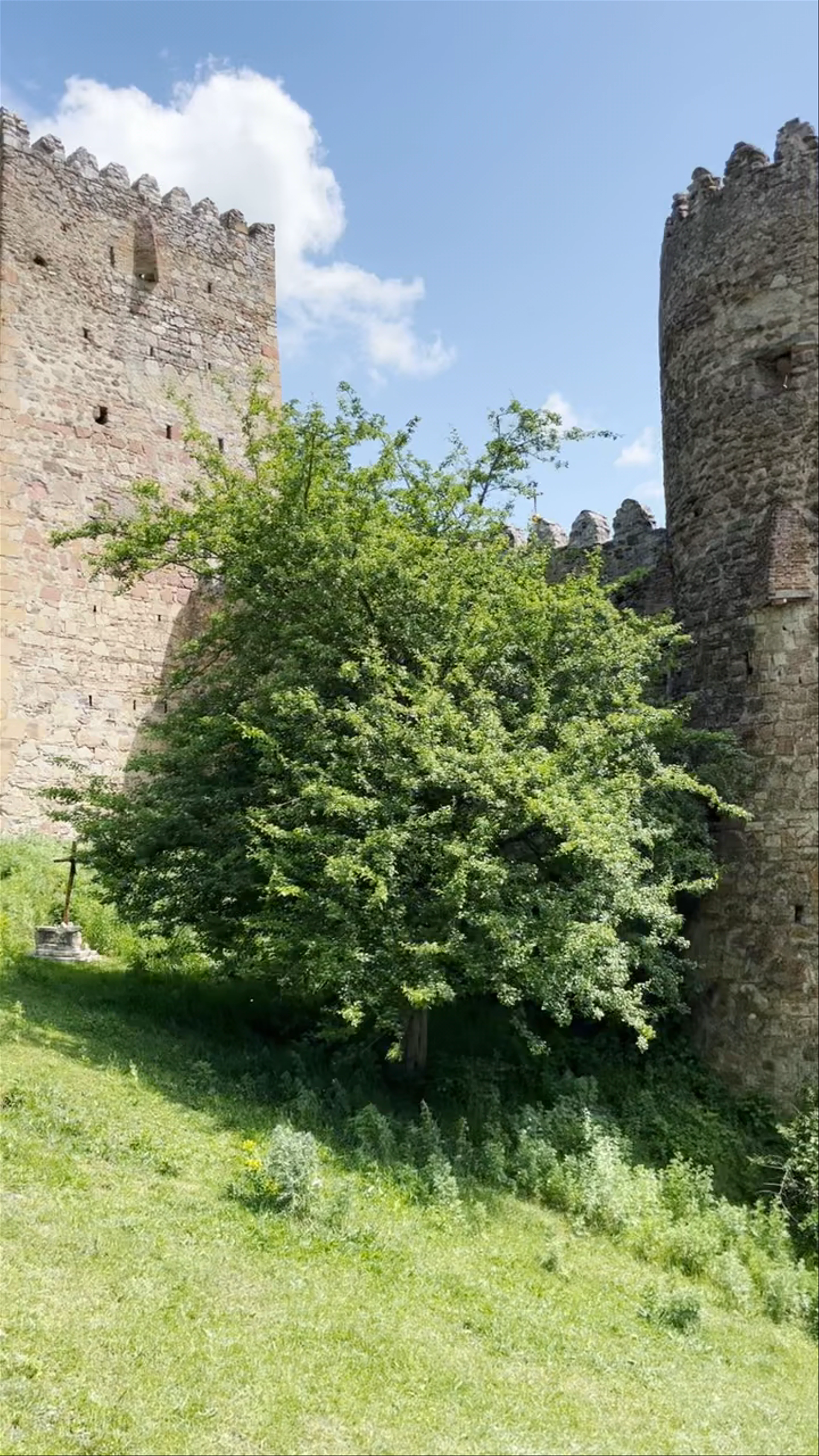 Ananuri Fortress Complex