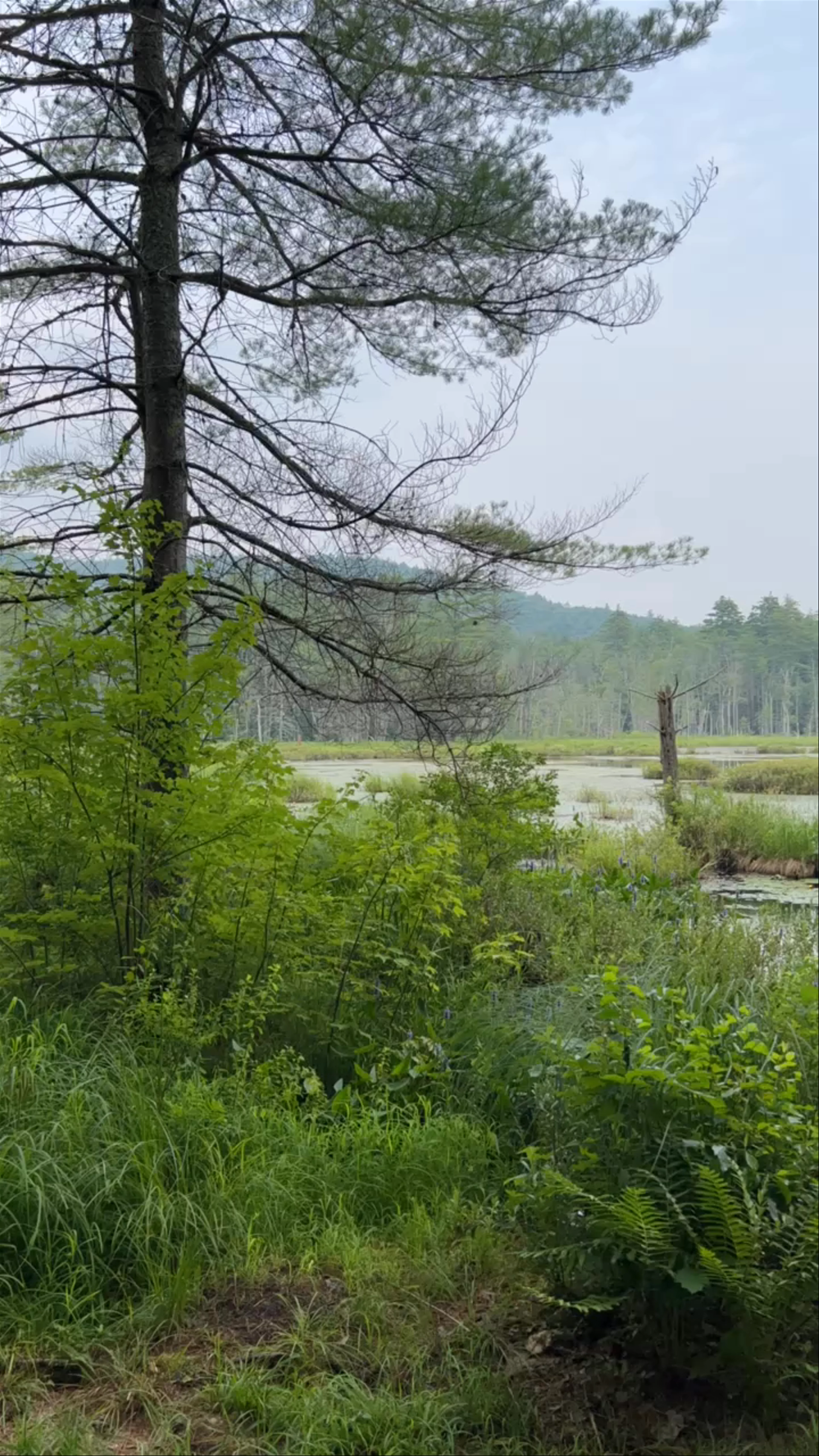 New Hampshire