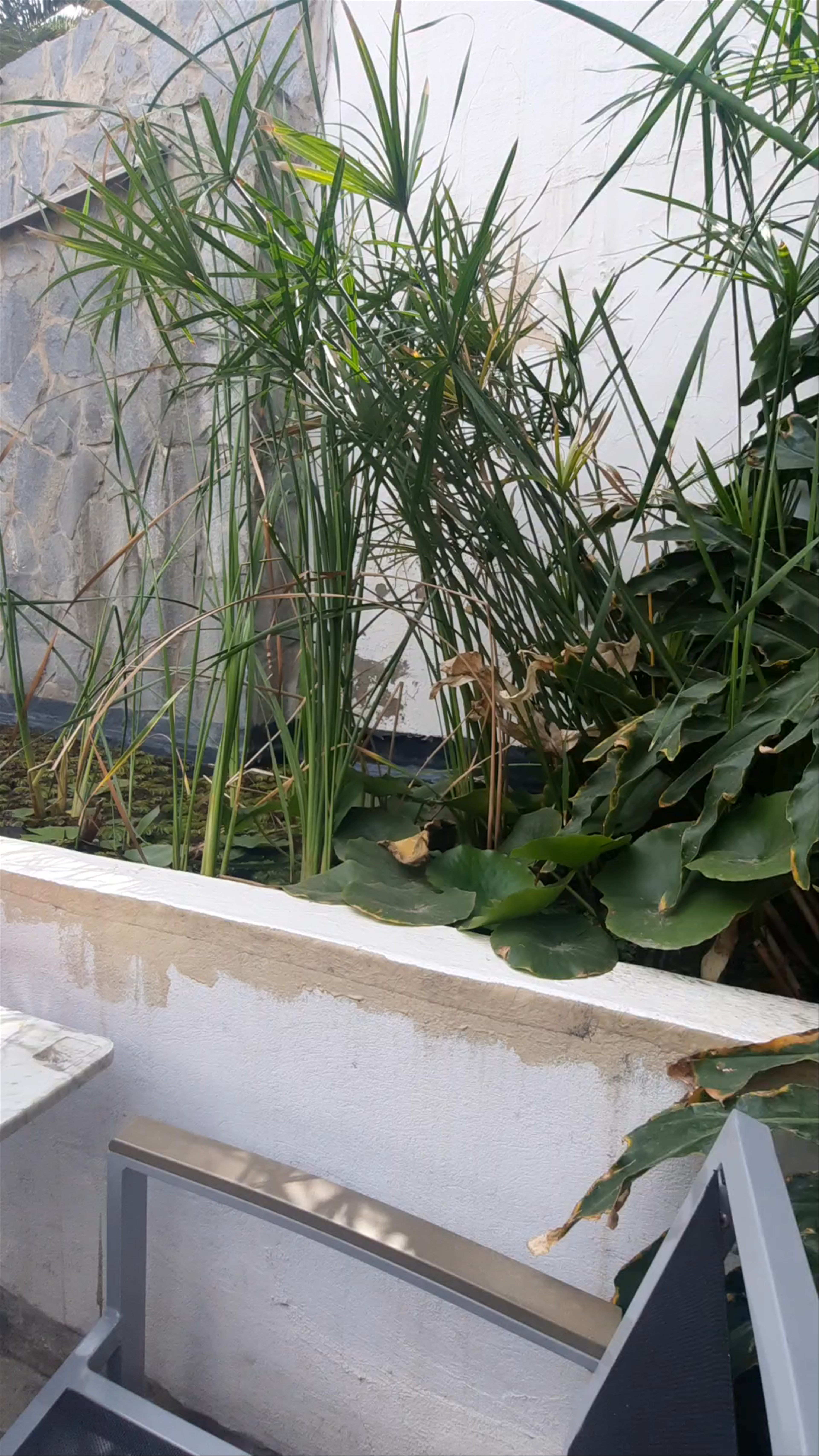 Grupo Anatura - La Casa De Las Semillas