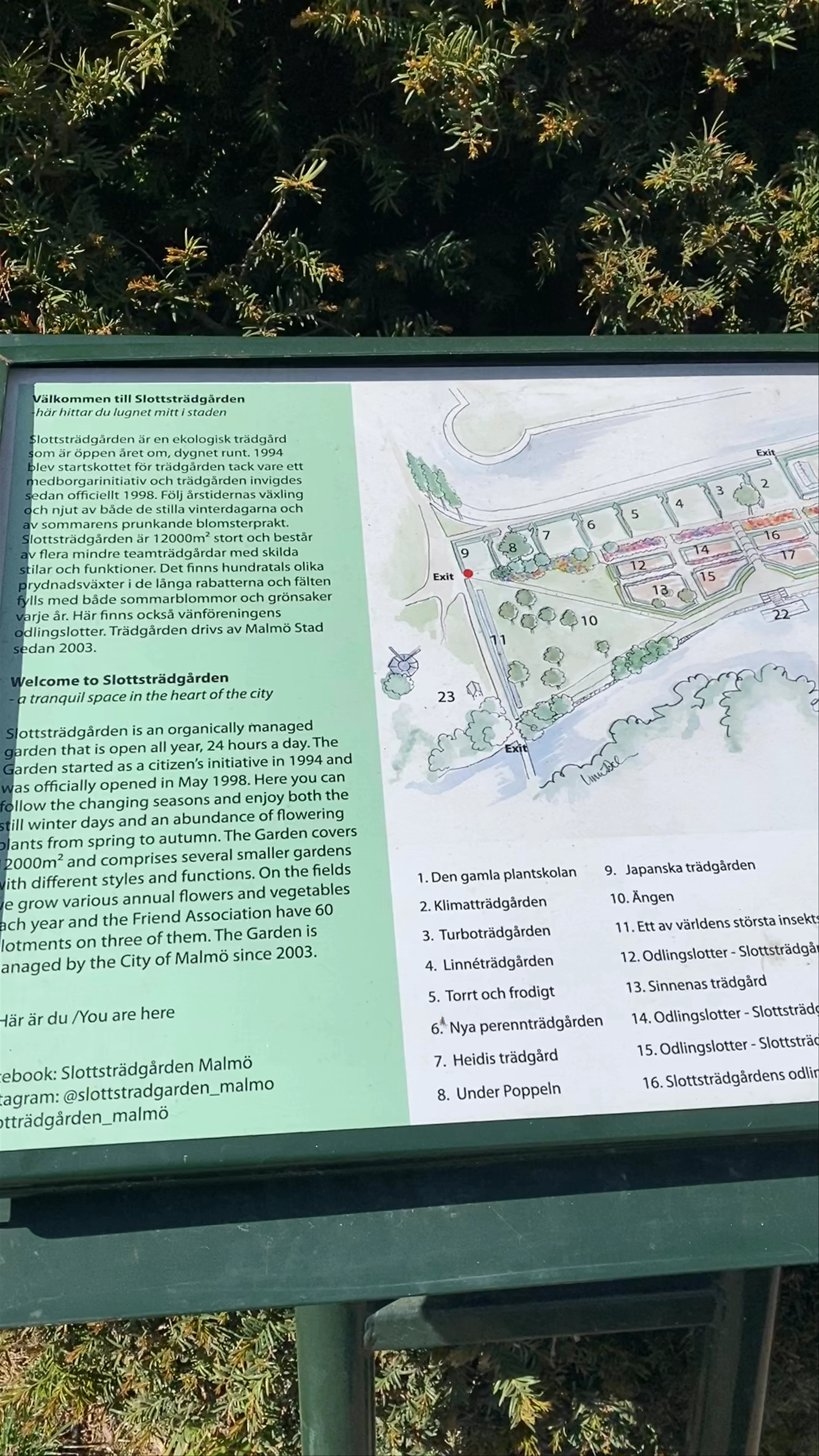Slottsträdgården Malmö