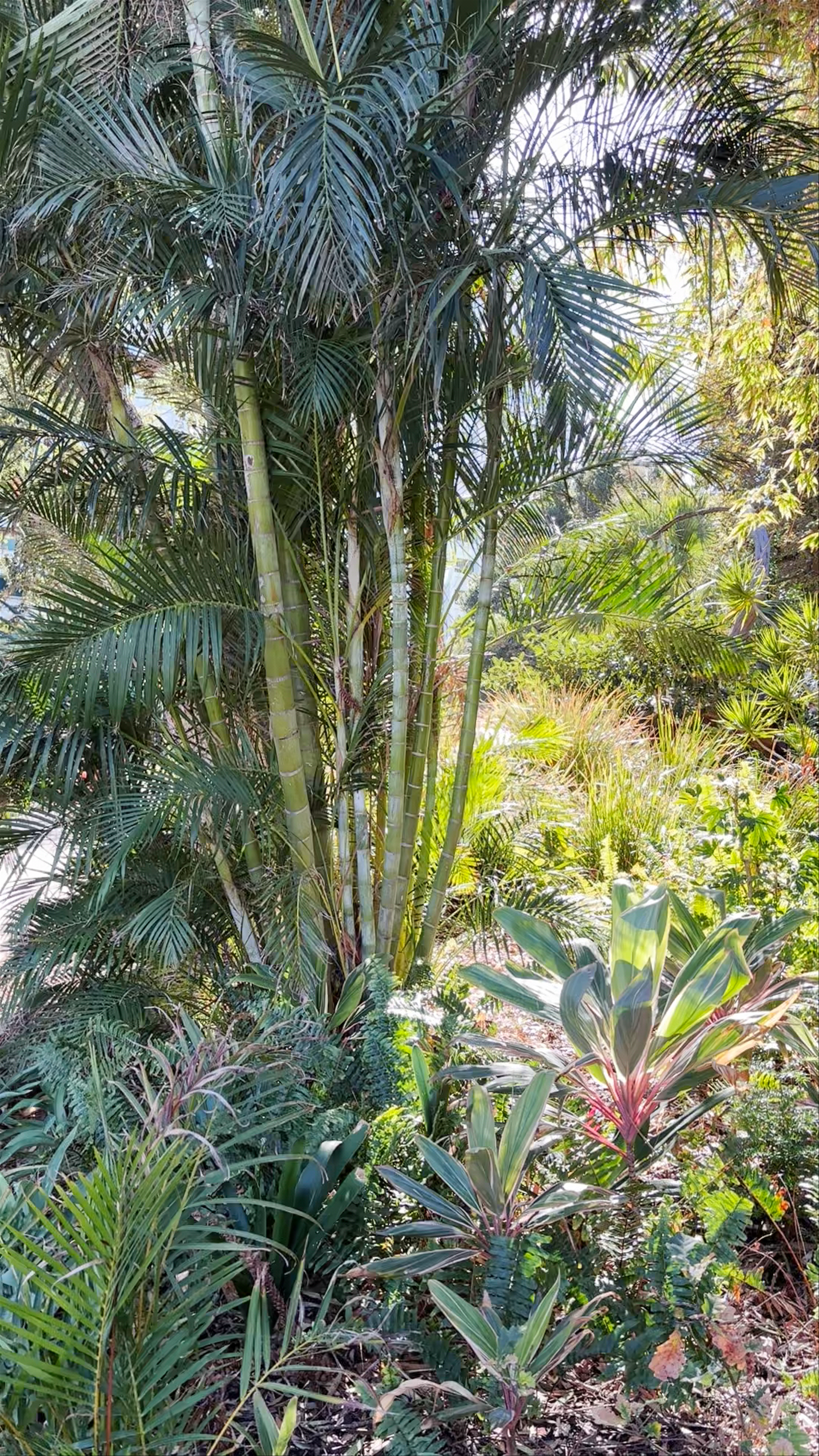 Stirling Gardens