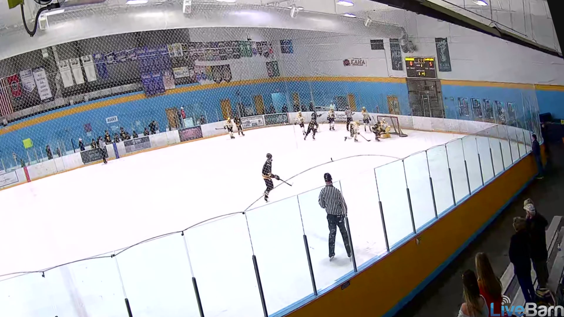 Jagger Dwyer: D-Zone Dominance with Big Hits | TN State Playdowns
