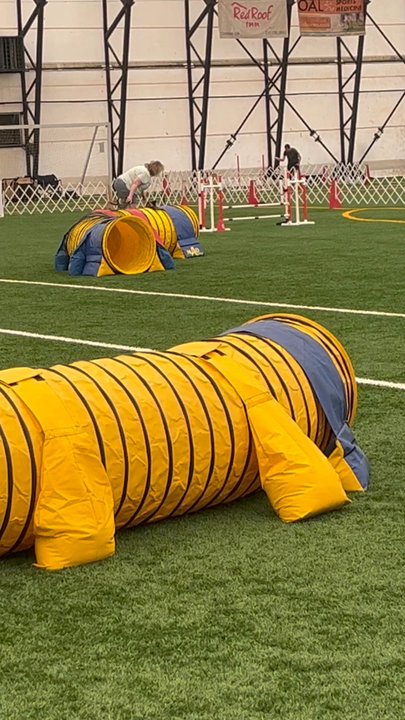 In The Net - Stadiums & Arenas Near Me - Palmyra, Pennsylvania